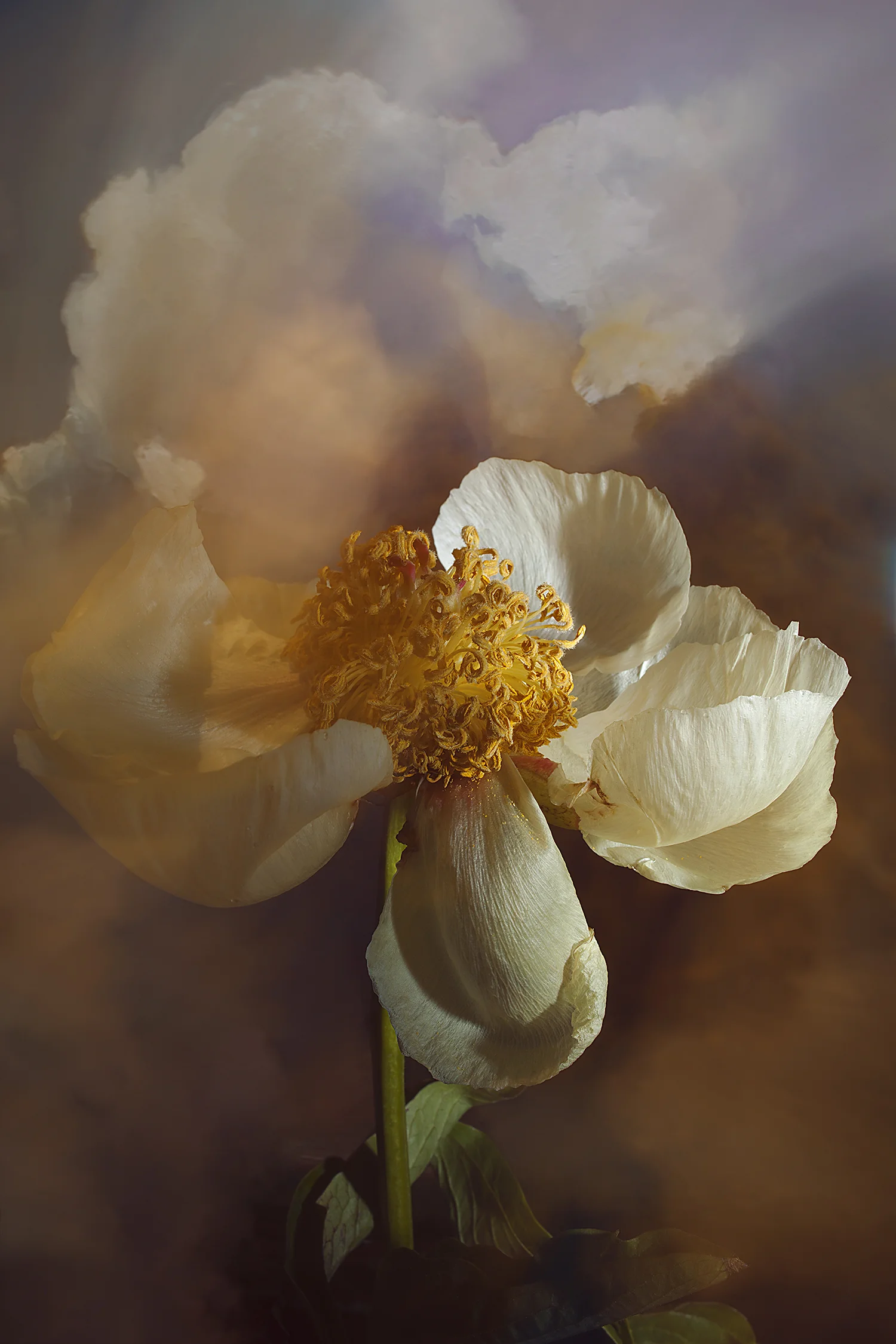 23 May 2019 No. 2316