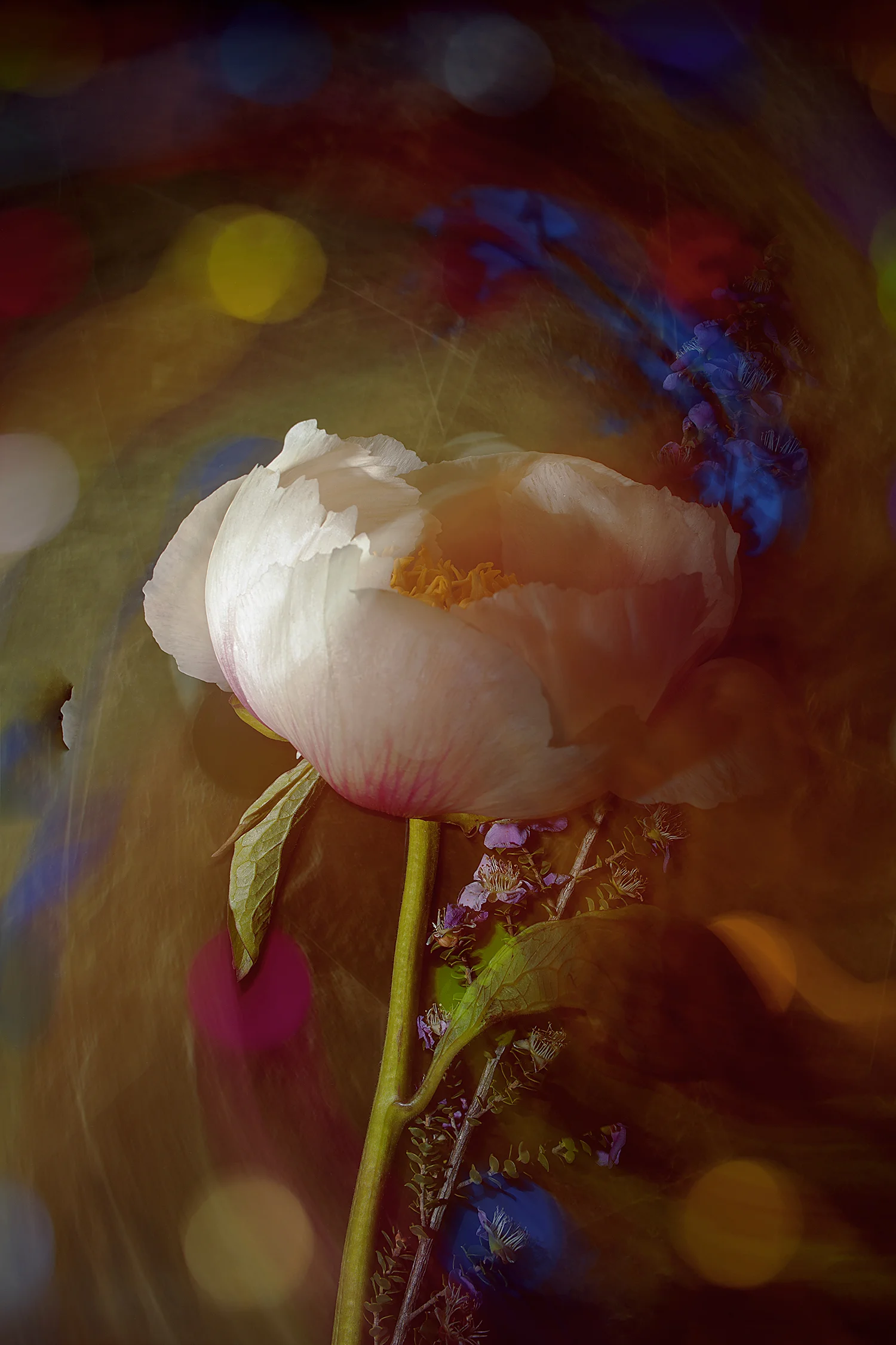 22 May 2019 No. 2177