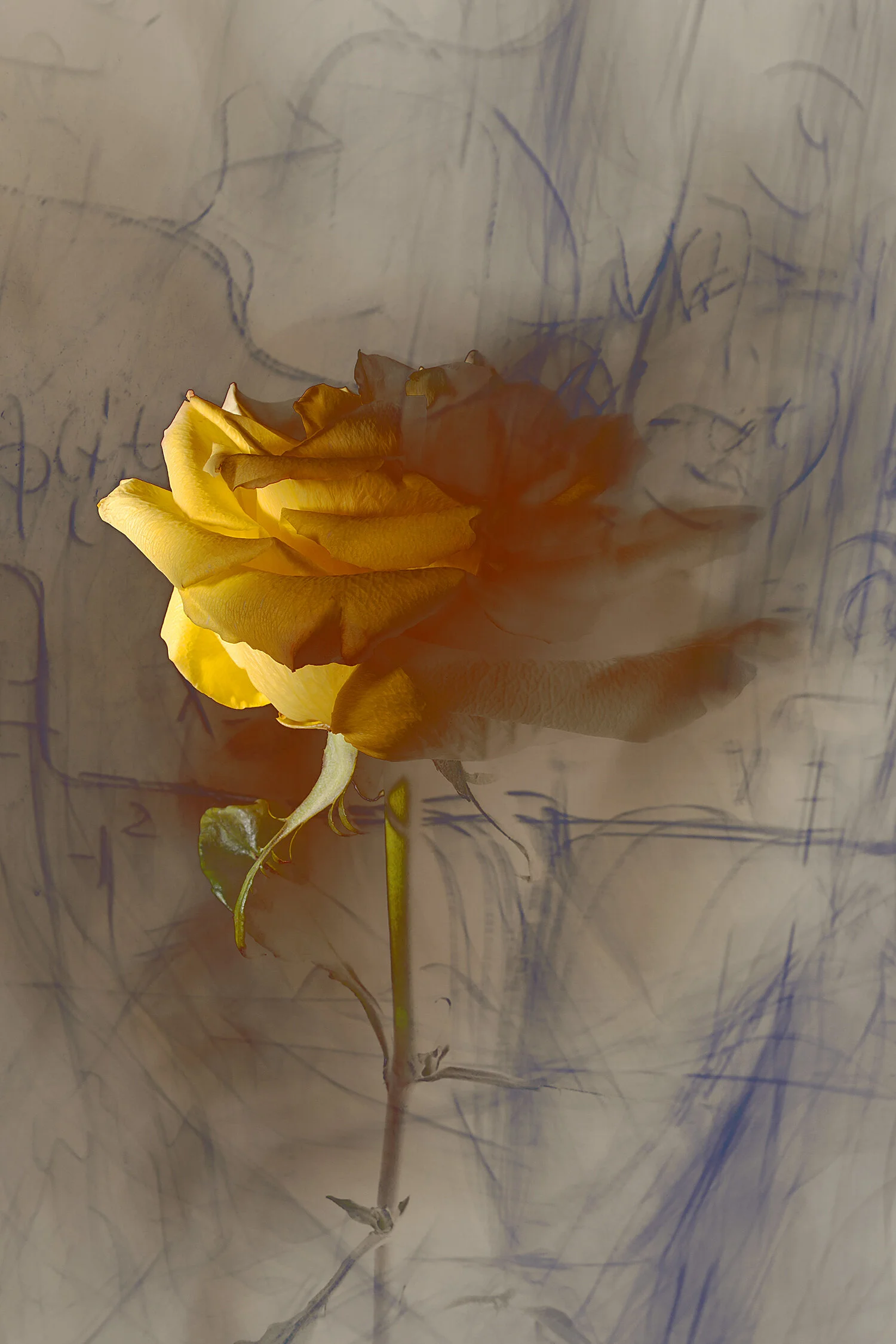 21 September 2019 No. 9174