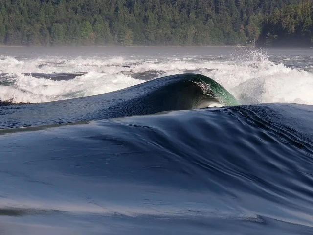   Skookumchuck Narrows  
