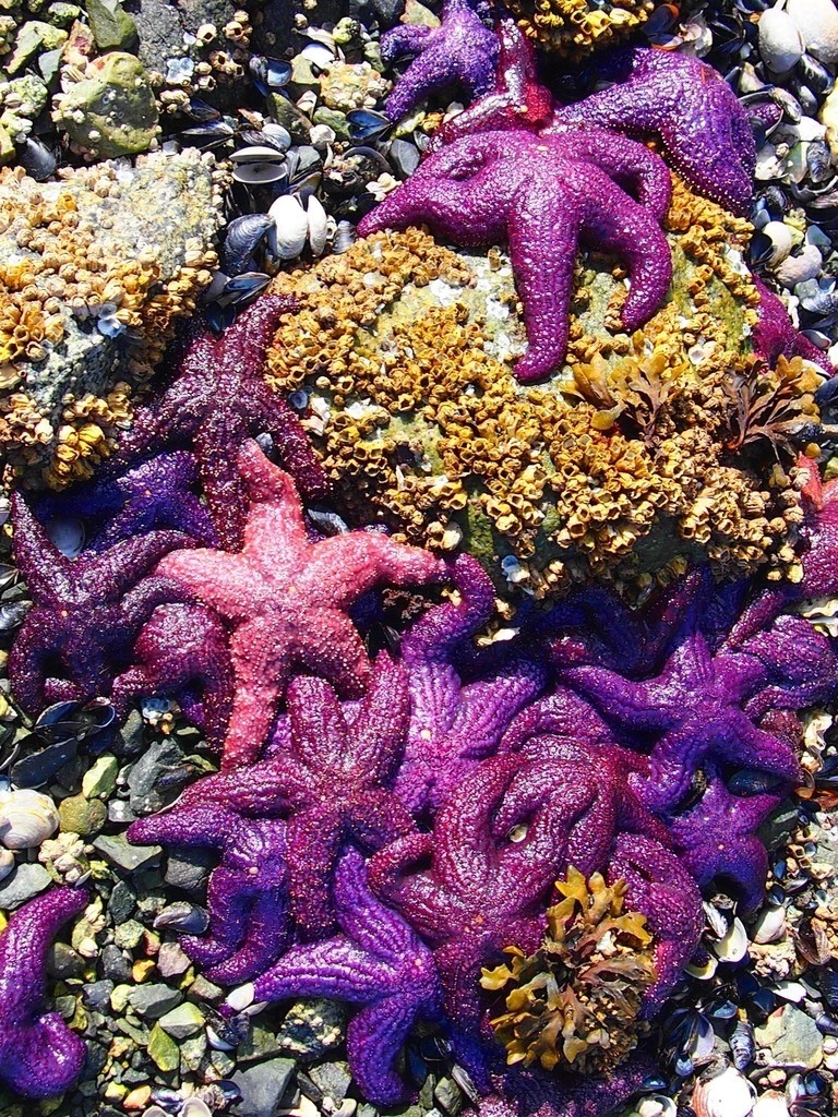 colourful neighbours