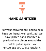 Hand Sanitizer.PNG