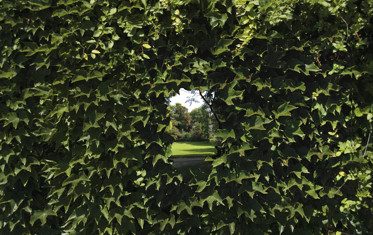 Secret Gardens (detail), Chambers St. NYC, digital print on mesh