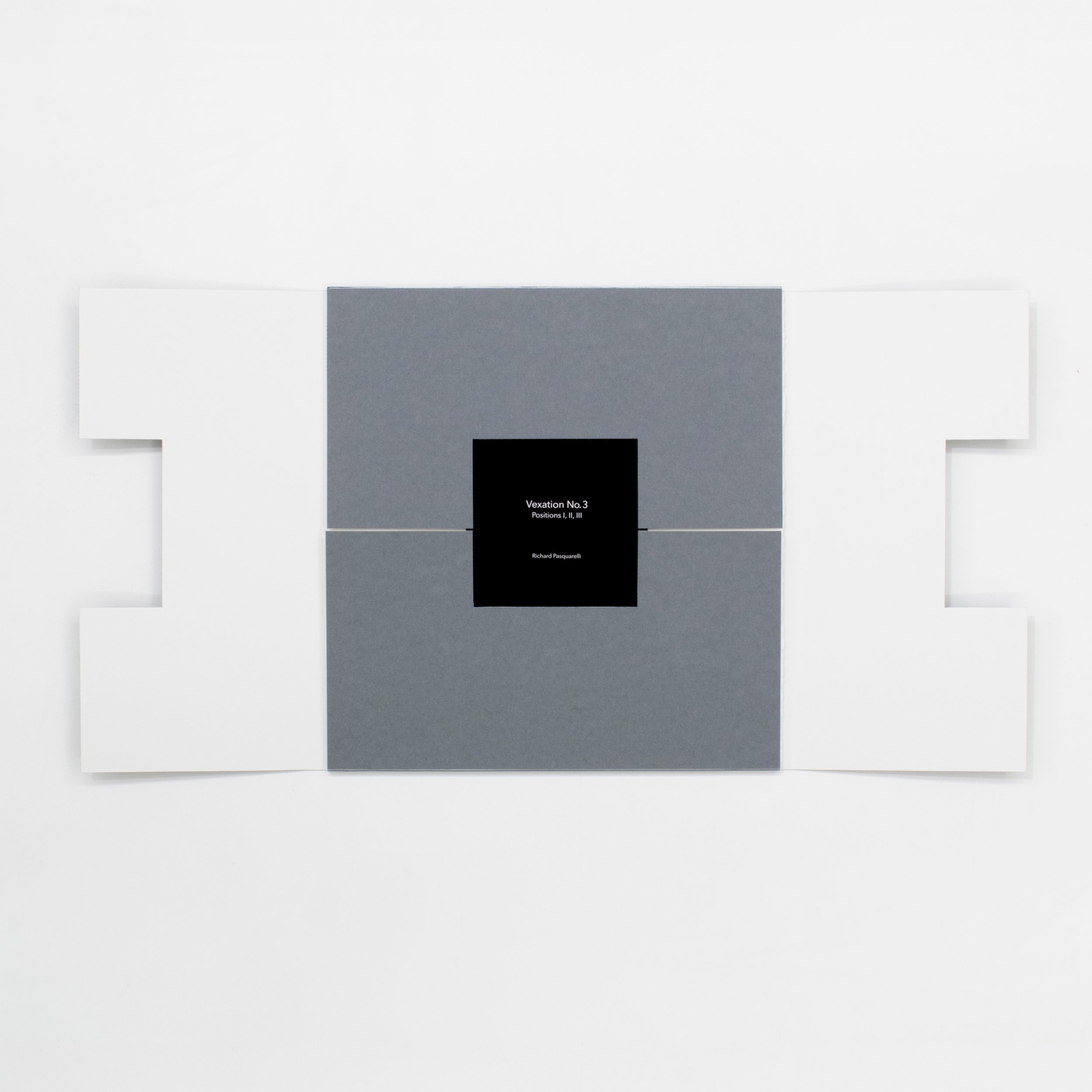 Vexation No. 3, Pos. I, II, II   Book, Edition of 2 16.5” × 46.5” (Unfolded) Prints: Aquatint on Rives BFK on Conventry Rag Box: Archival Corrugated 2025