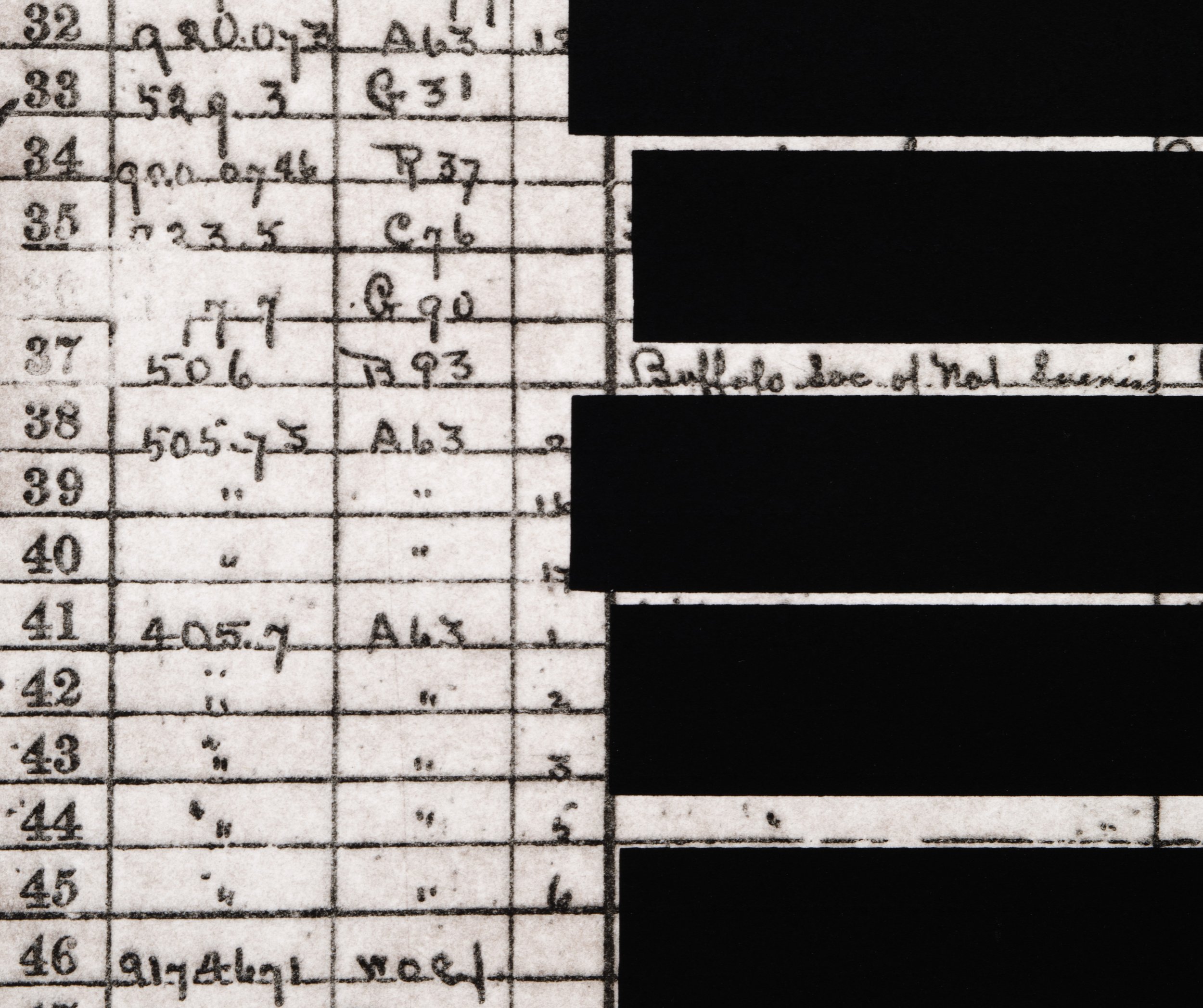  Detail of  Accessions No. 1   19.5" x 17.5 " (paper), 13" x 11.375" (image) Aquatint etching with silkscreen 2025 