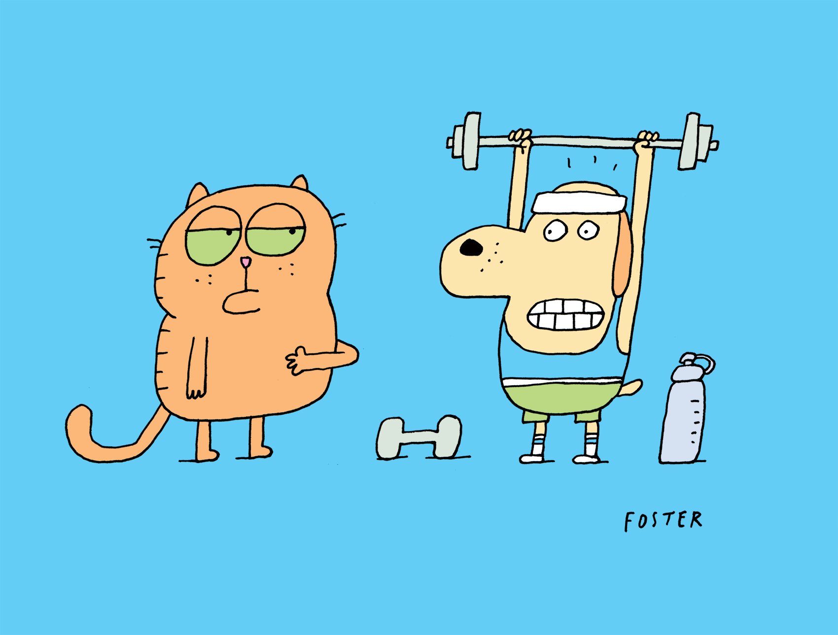 dog_weight.jpg