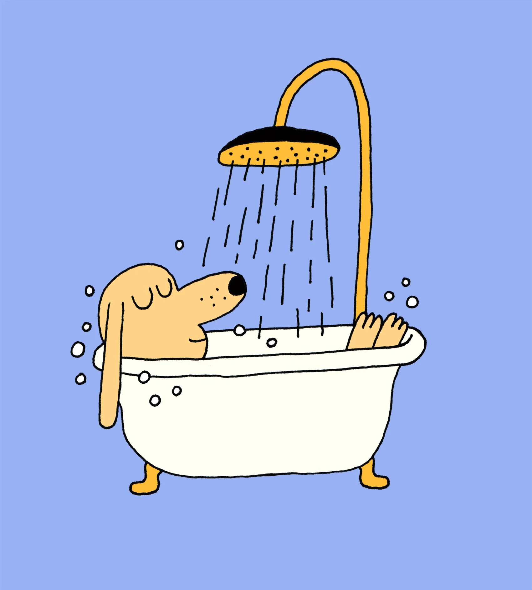 dog_bath.jpg