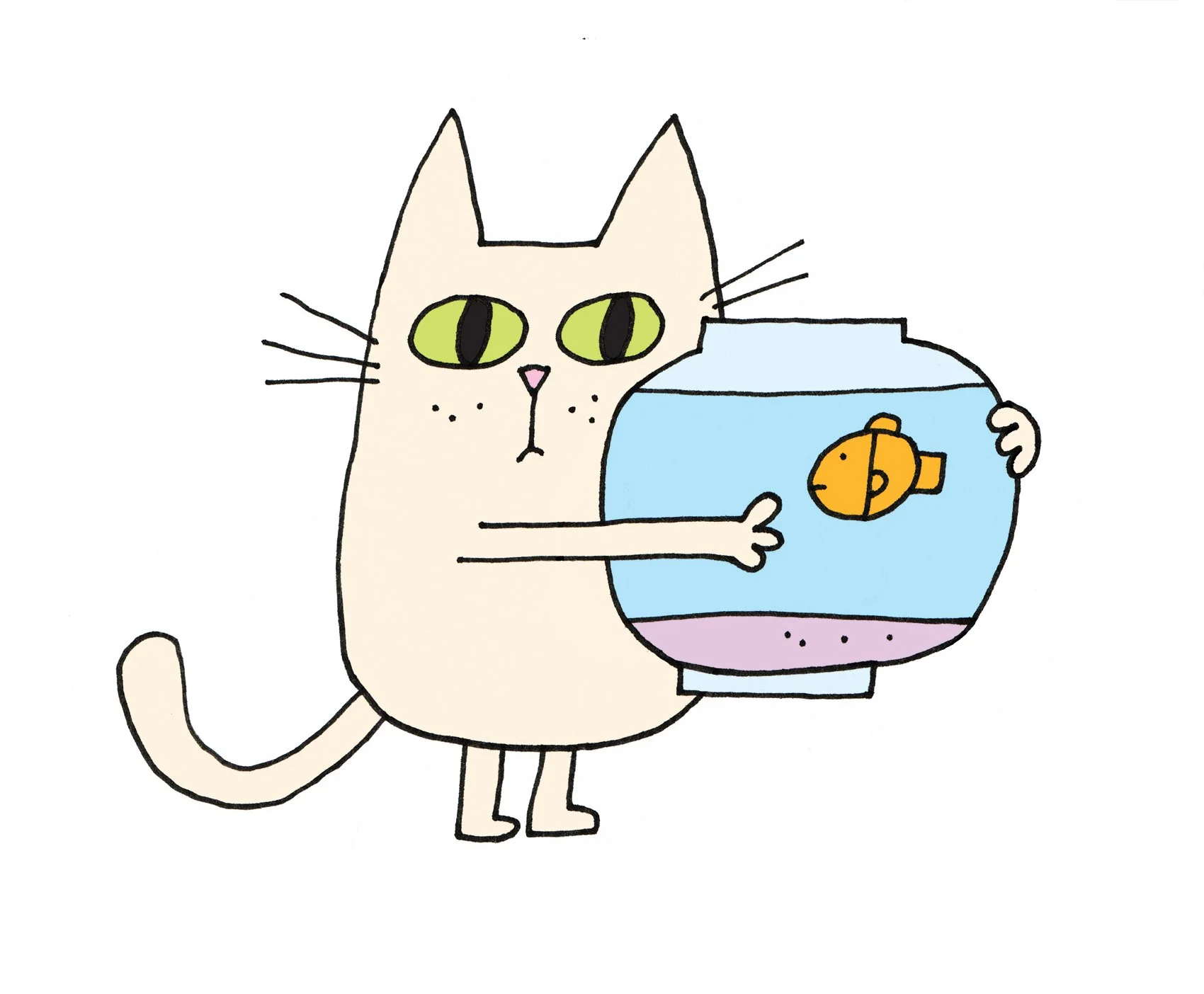cat_pet.jpg