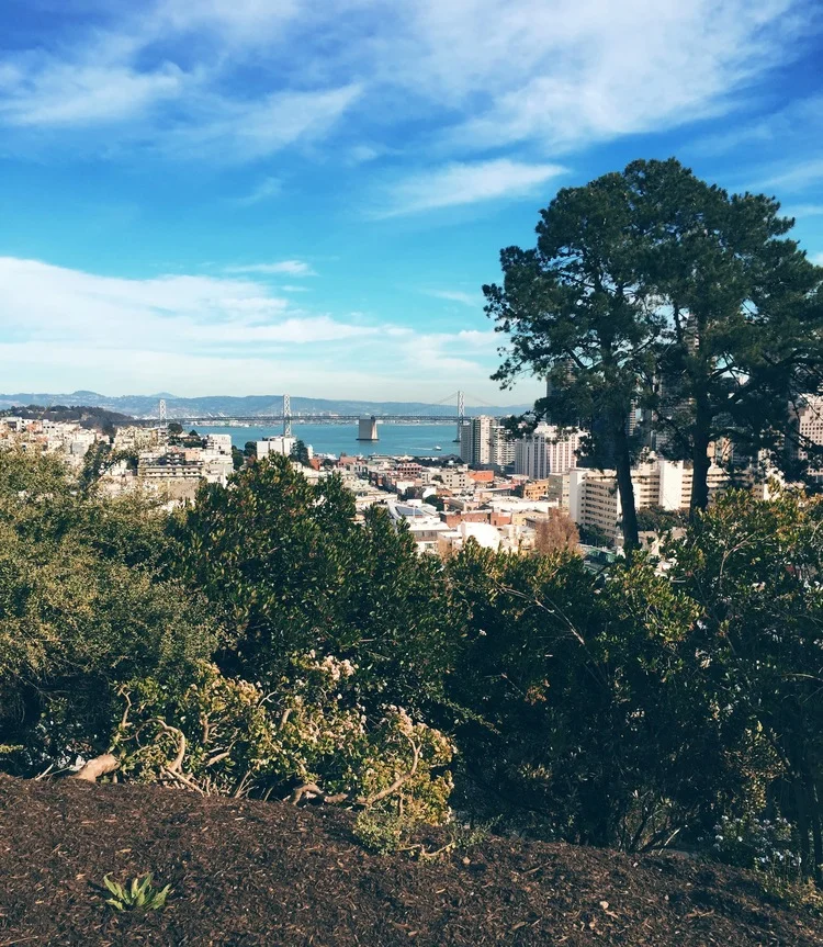 Ina Coolbirth Park - tucked among some of the most spectacular homes offering views of Coit Tower, Bay Bridge & Oakland, and the Financial District 