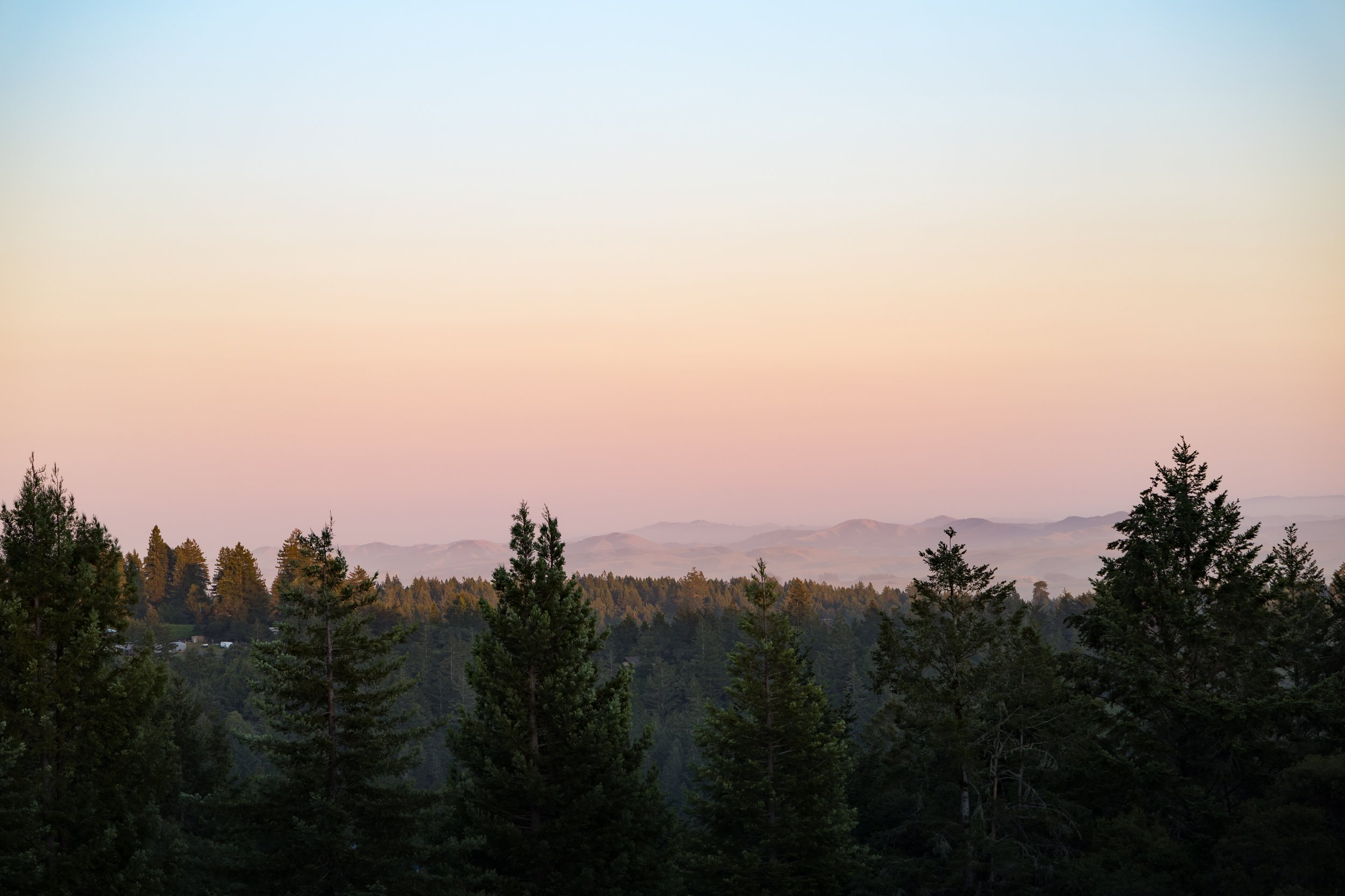 3977 Docs Ranch Rd 52.jpg