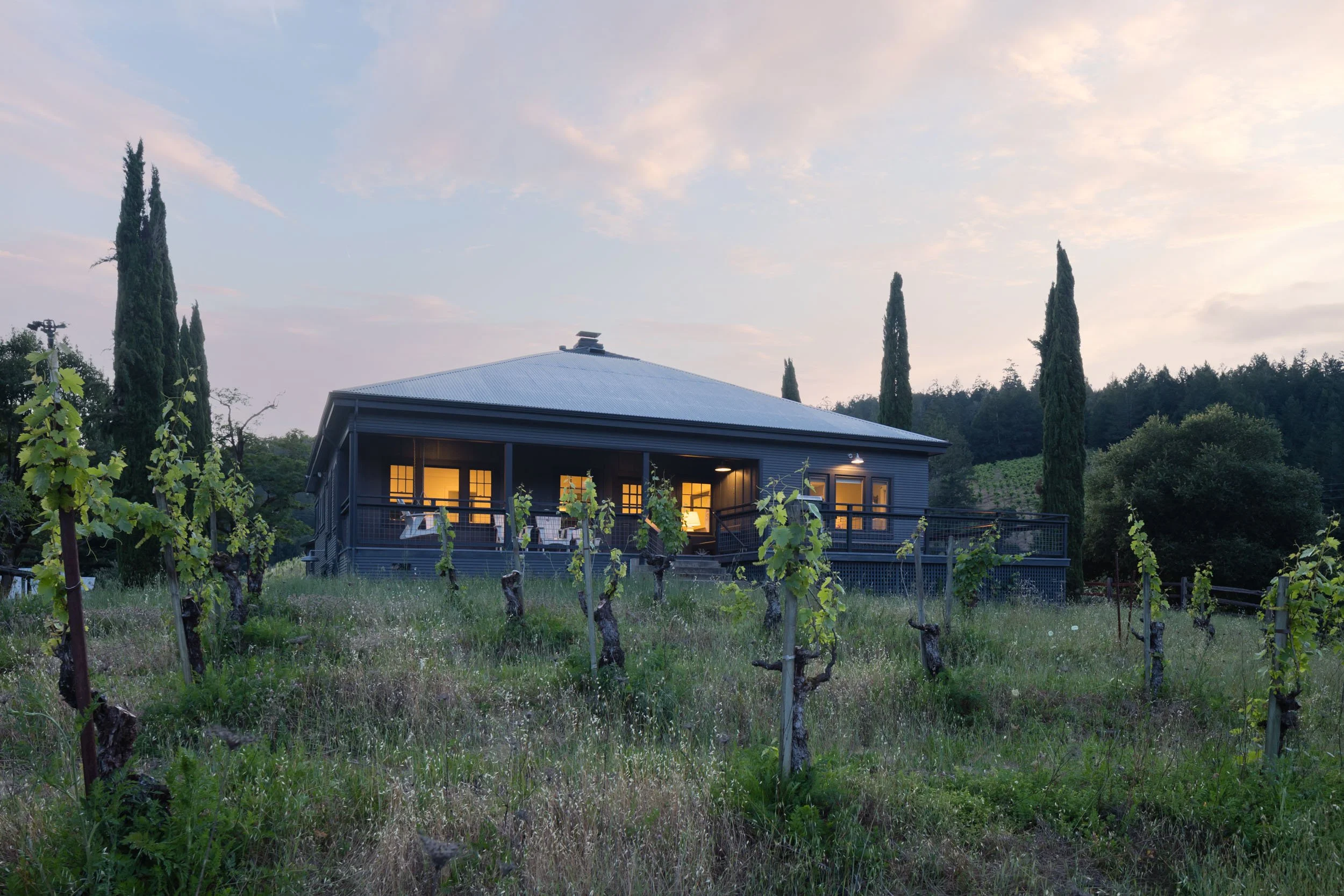 8781 Martinelli 55 small.jpg