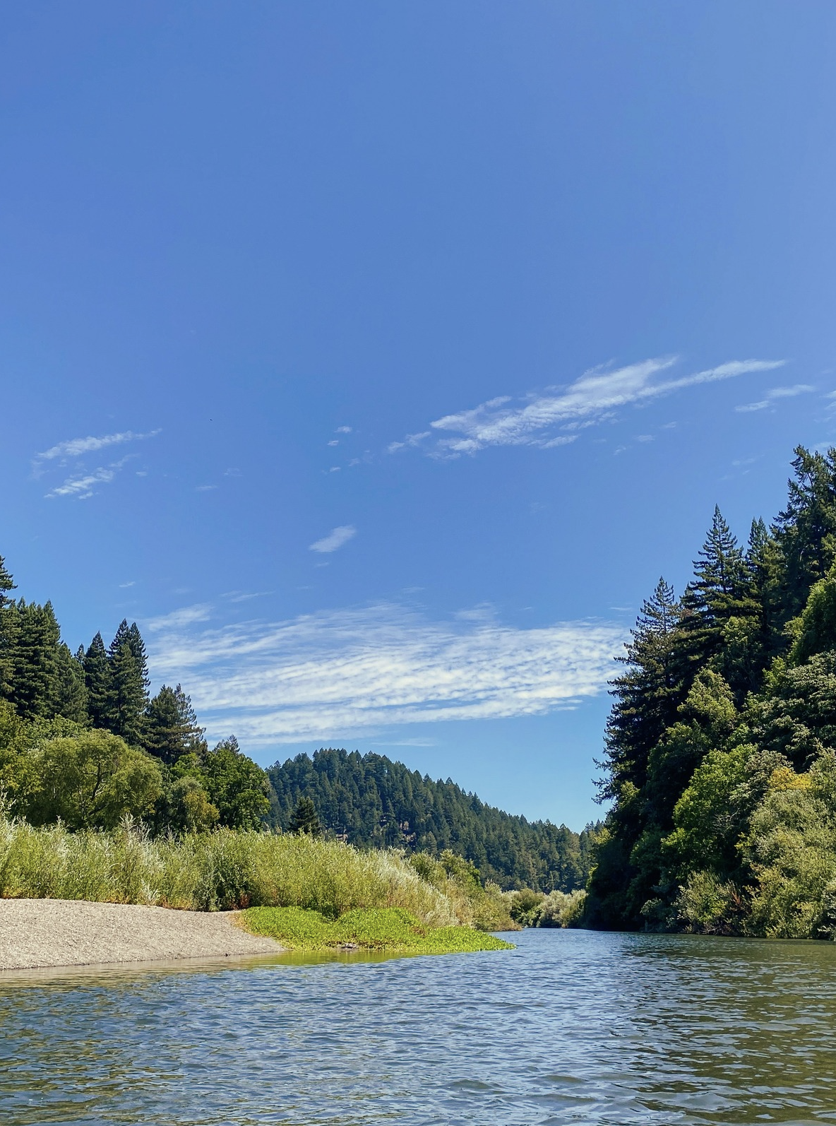 sonoma-ca-lifestyle-7.png