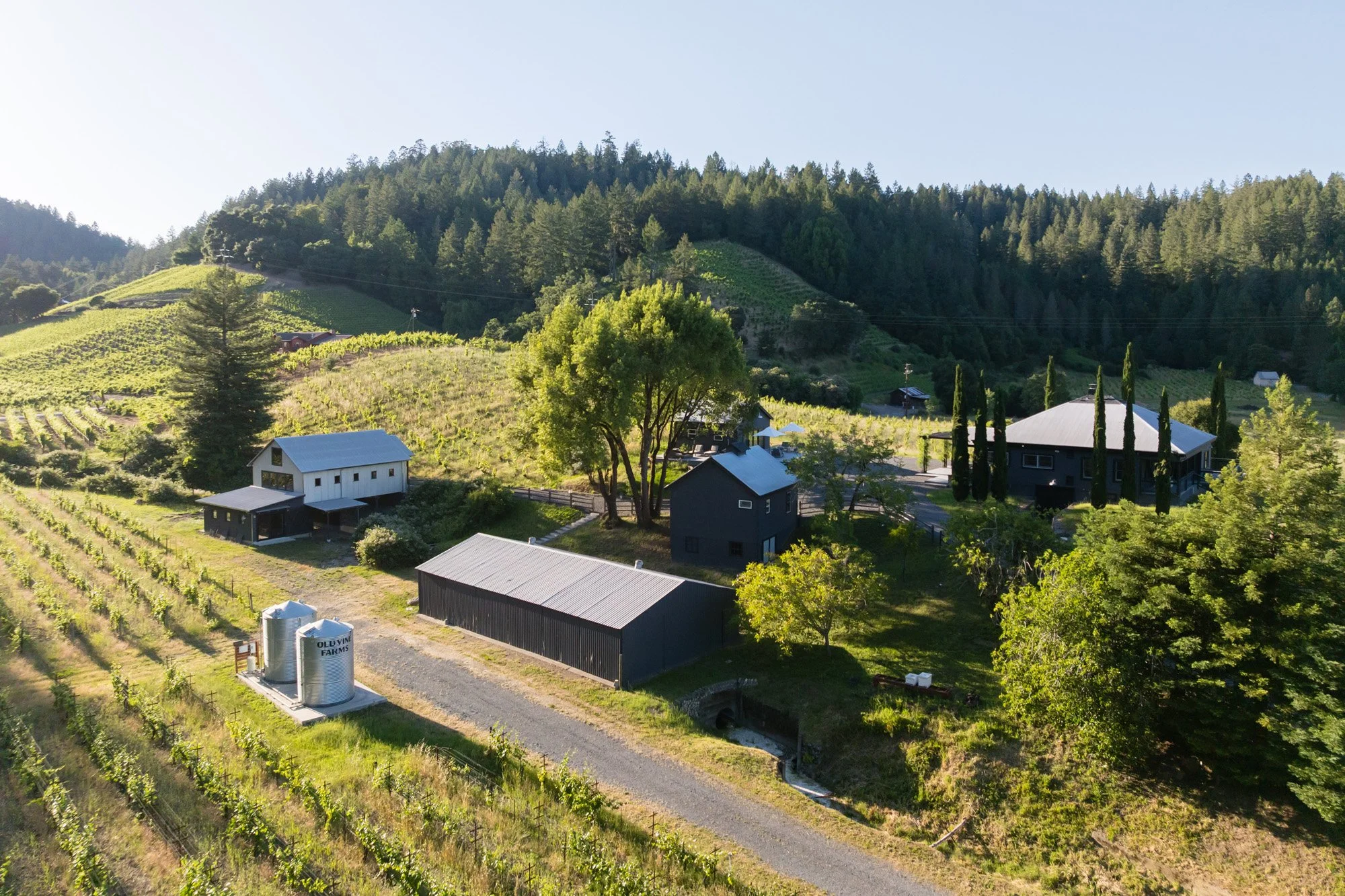 8781 Martinelli 46.jpg