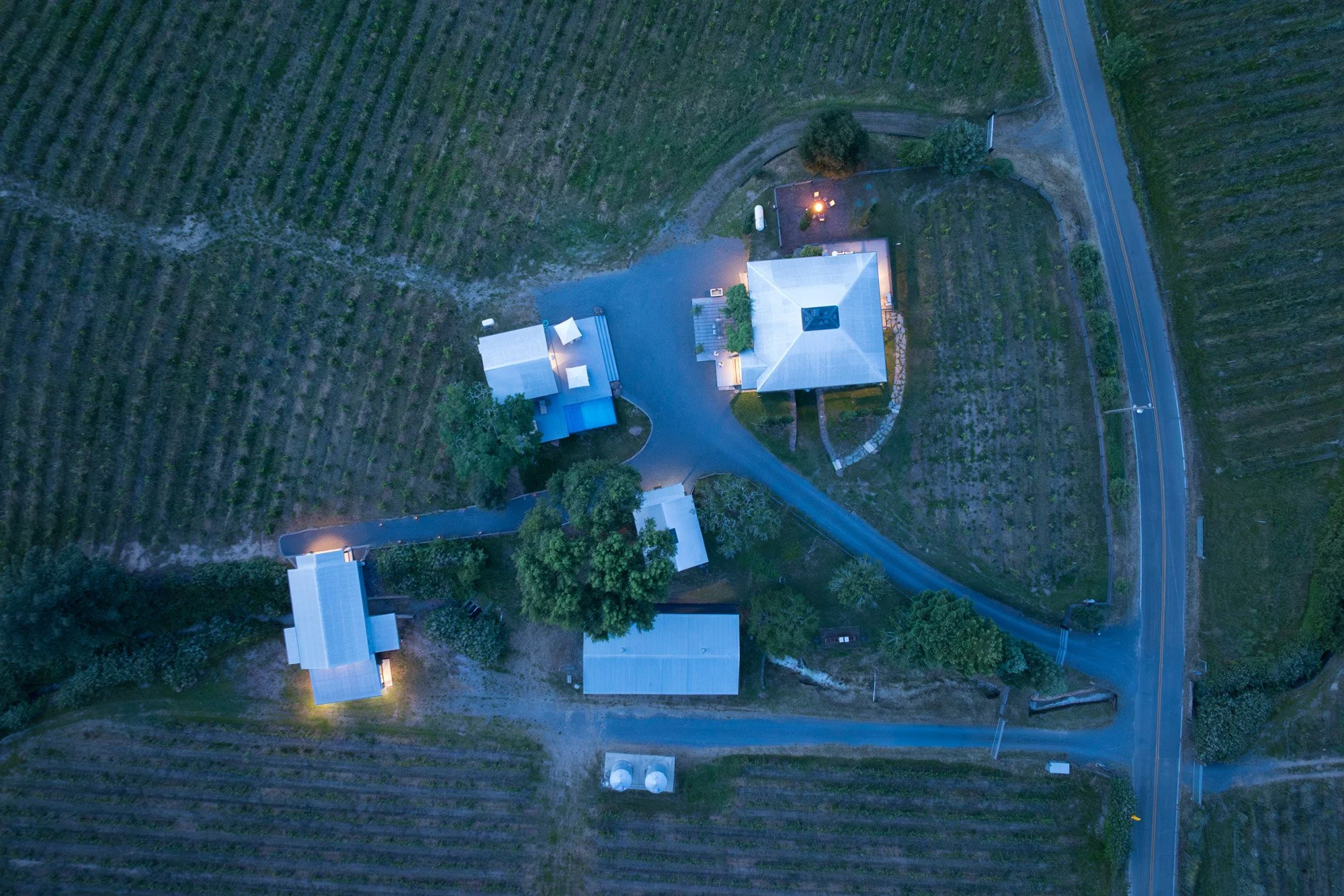 8781 Martinelli 70.jpg