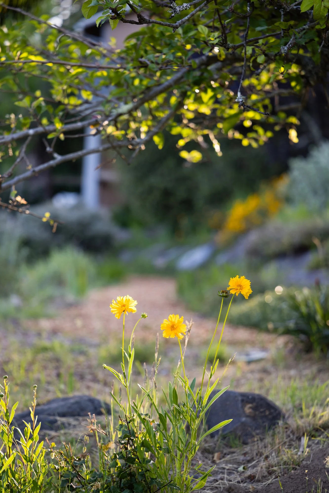 3977 Docs Ranch Rd 47.jpg
