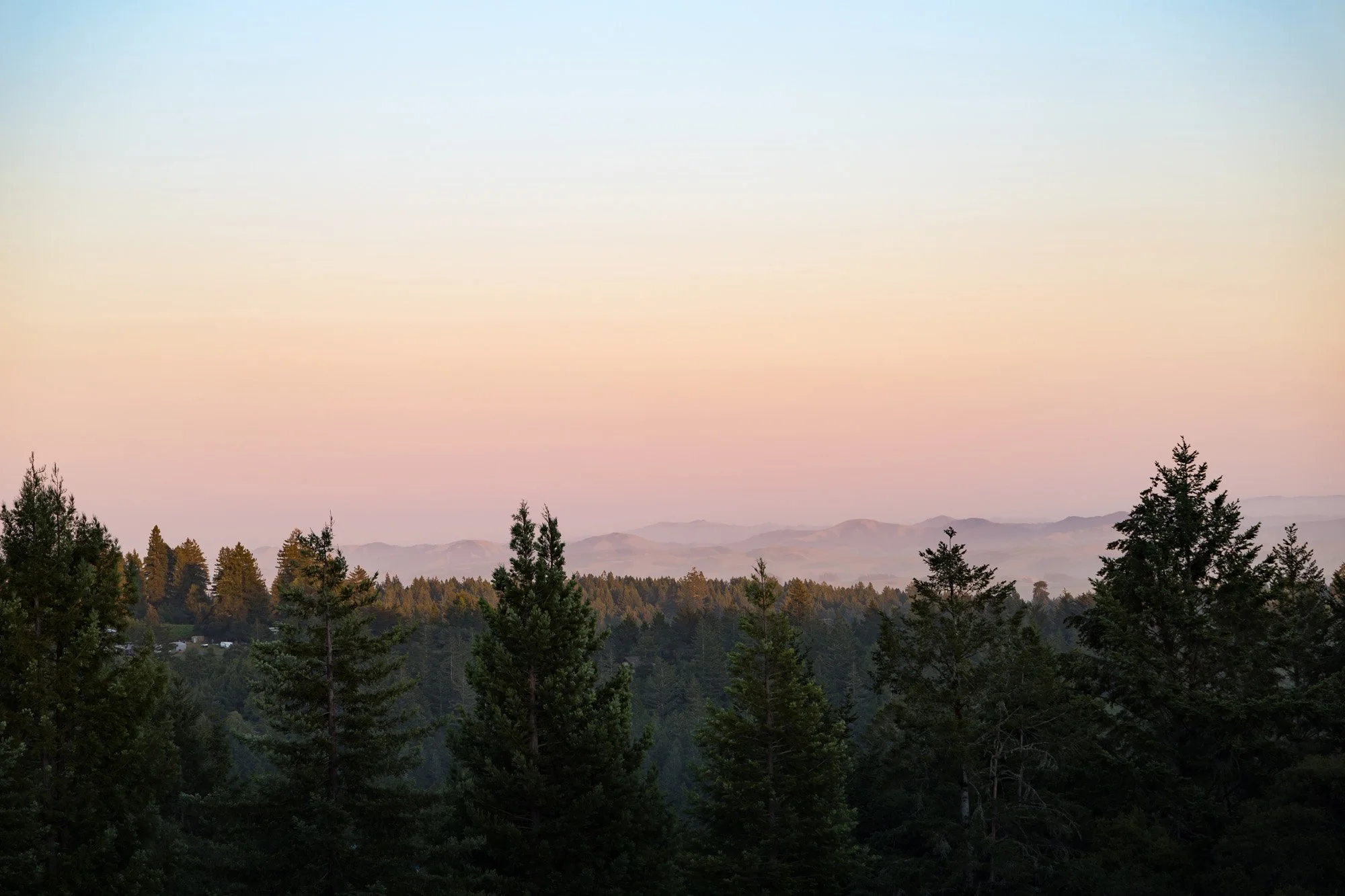 3977 Docs Ranch Rd 52.jpg