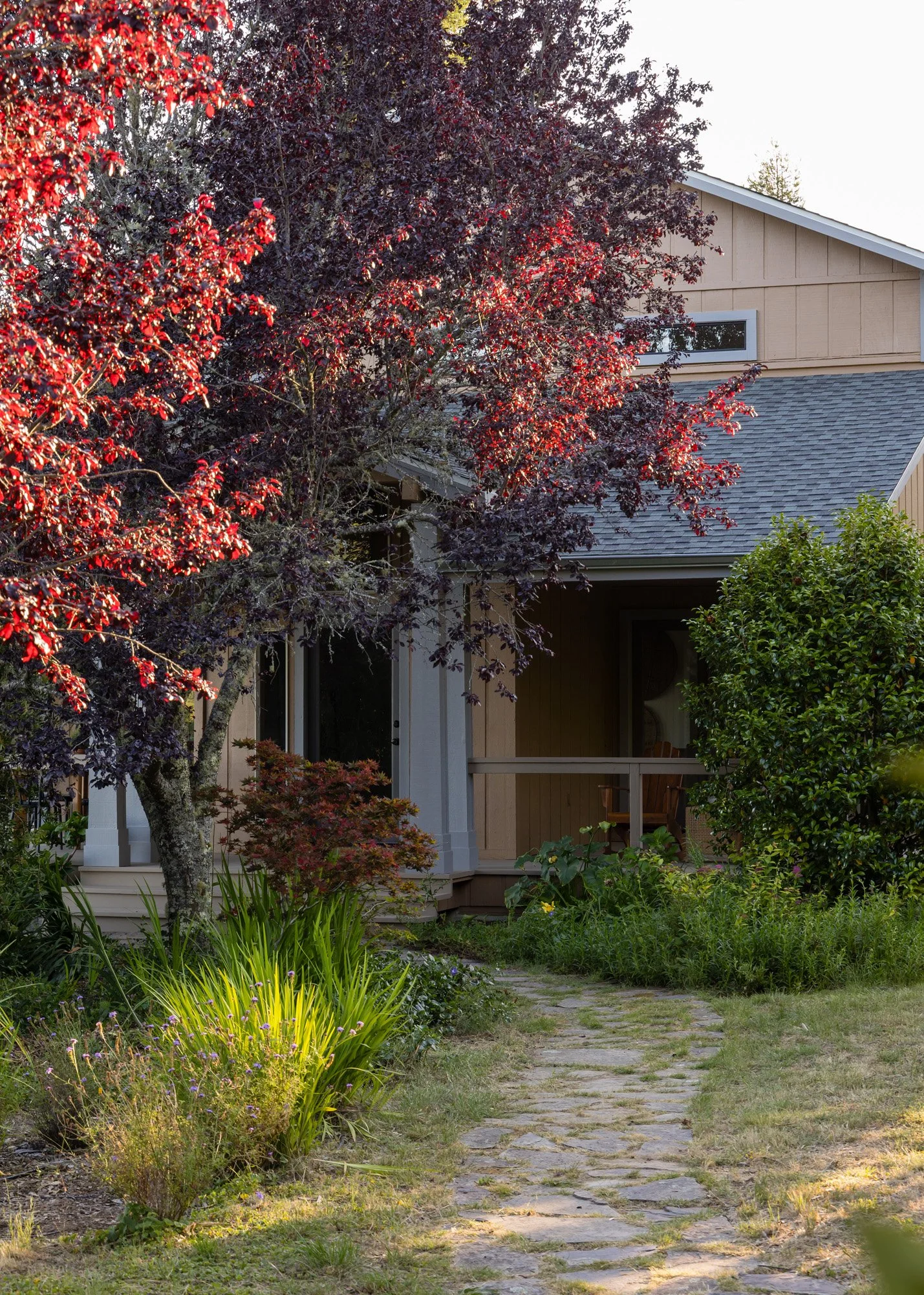 3977 Docs Ranch Rd 01.jpg