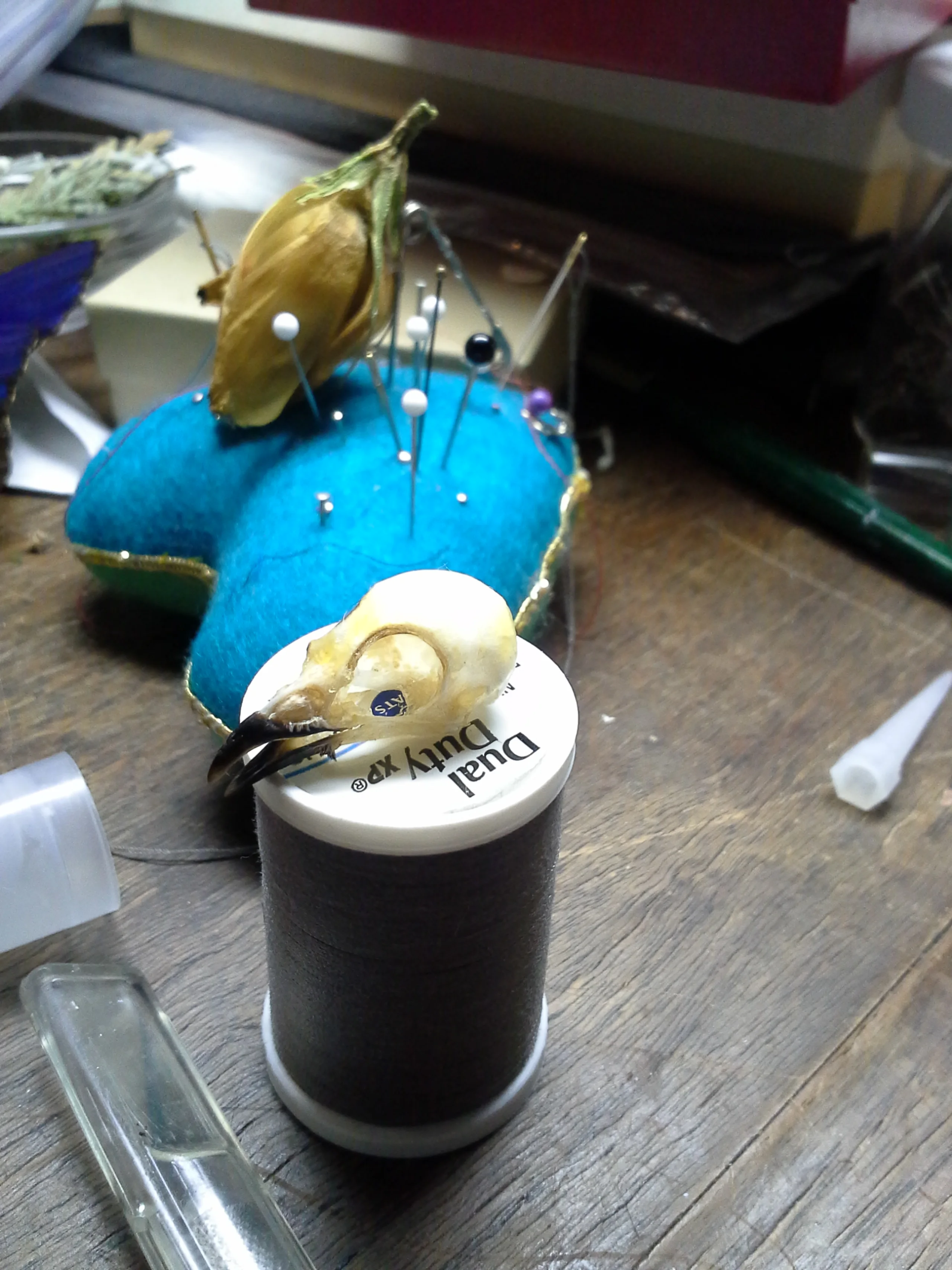 20140406_013455.jpg