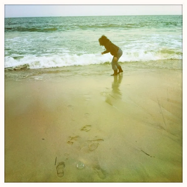 December Harvest. Laura Martuscello. Westhampton Beach, New York. December 17, 2011.