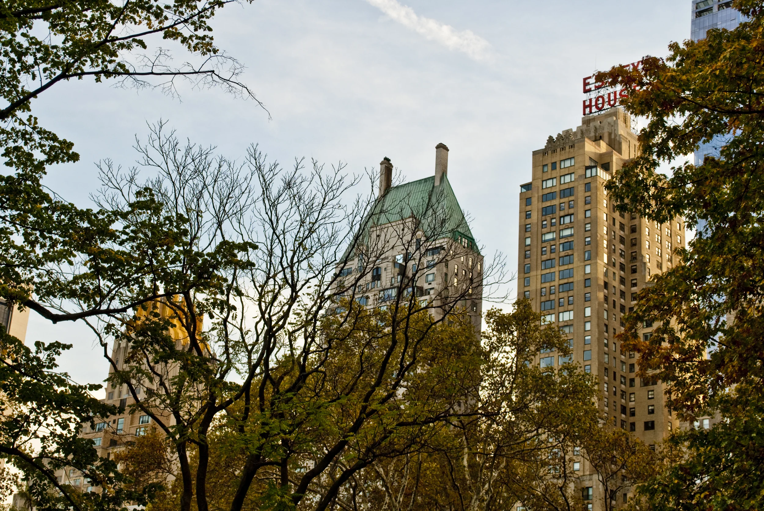 central_park_nov14.jpg