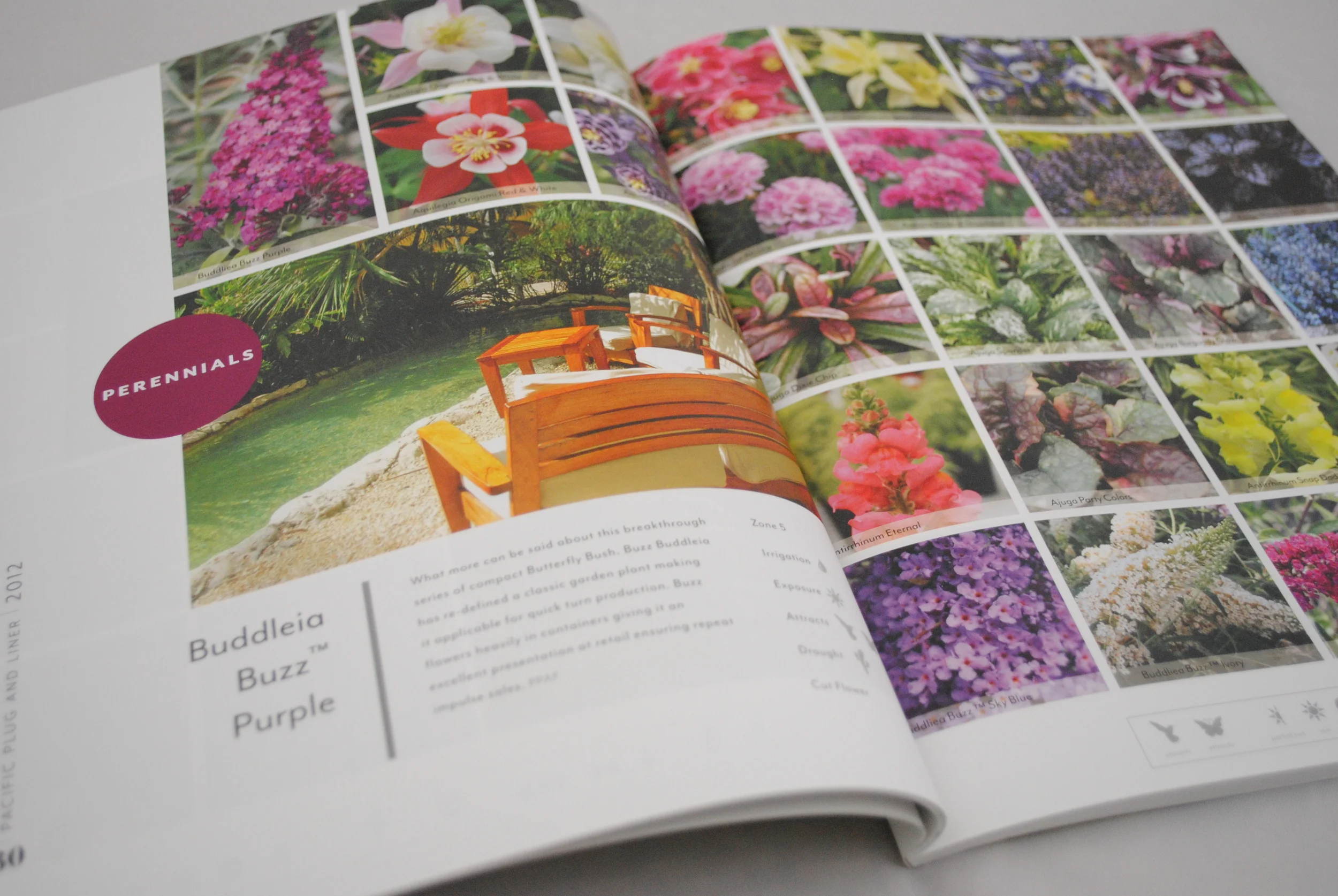 Pacific Plug and Liner Catalog - Inner Pages