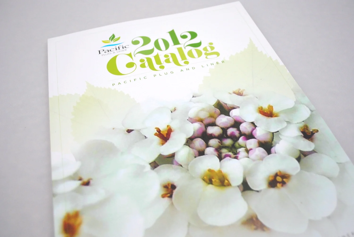 Pacific Plug and Liner Catalog