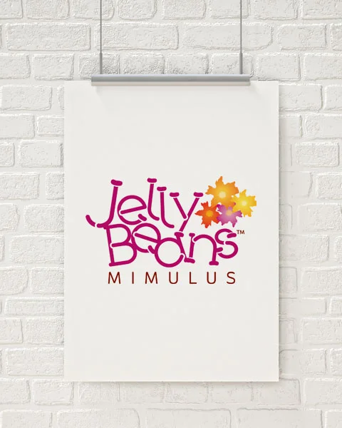 Jelly Beans Logo