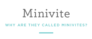 They are smaller than your average invite. They are around 3.5x5.5 in size (versus the 7x5 of the traditional invite). And since they are mini–hence MINIvites.