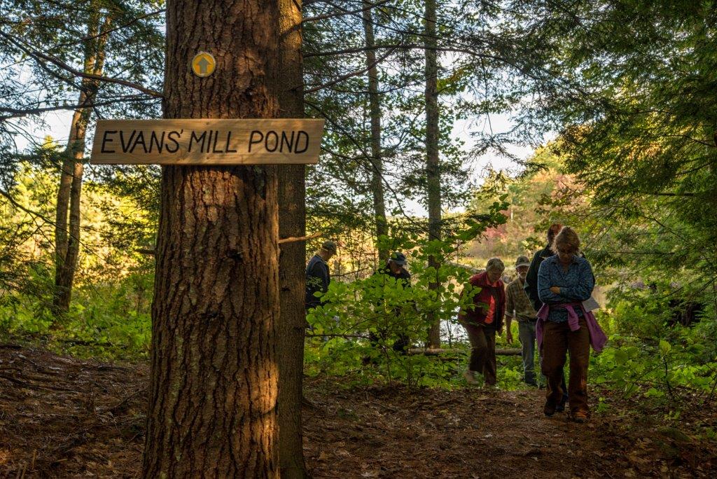 One of several peaceful hiking trails
