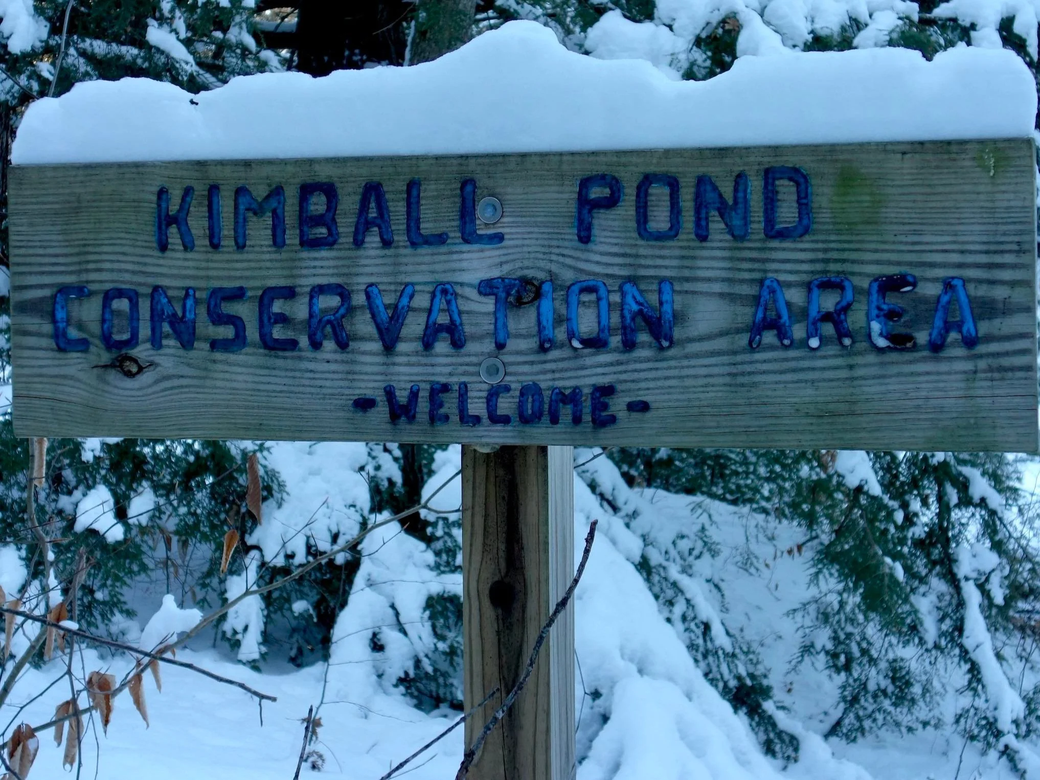 All are welcome here