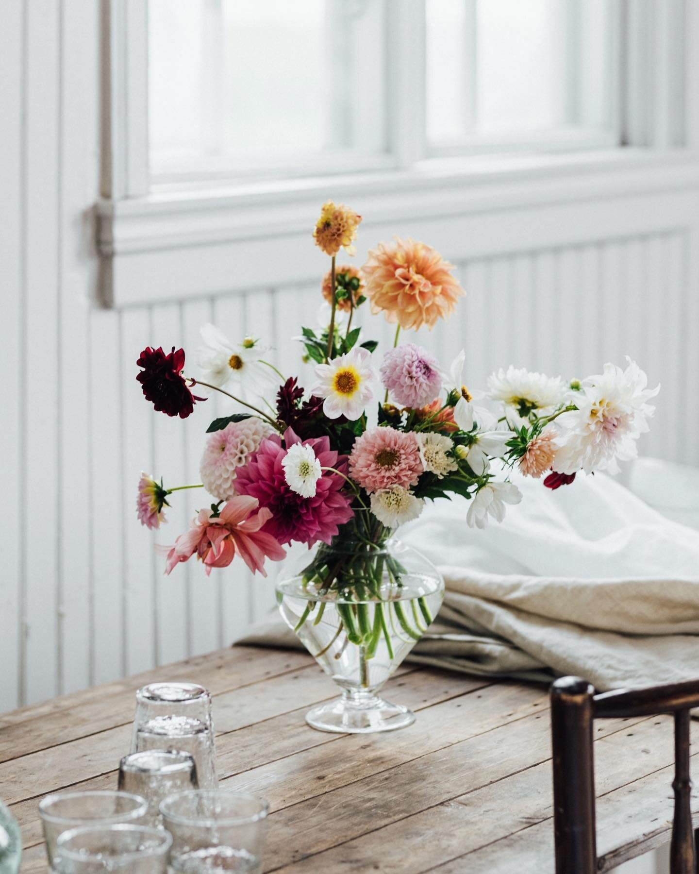Monday morning, a new week of hopes and dreams and checklists and to do lists! But first tea and some slow music to kick off this day. So happy that J can go out in the garden and pick a bouquet just like this. Have a good one! #alliseeispretty