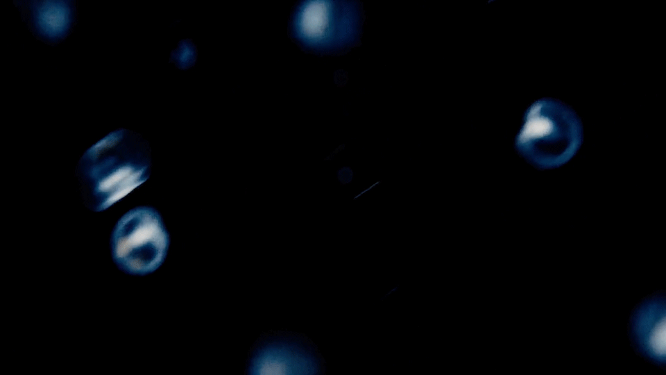 Viewers are transported on an immersive journey through bioluminescence in the comfort of a wooden boat. As the music reaches a crescendo, there is a low rumble of thunder and drops of digital rain start falling on the ground around the viewers.