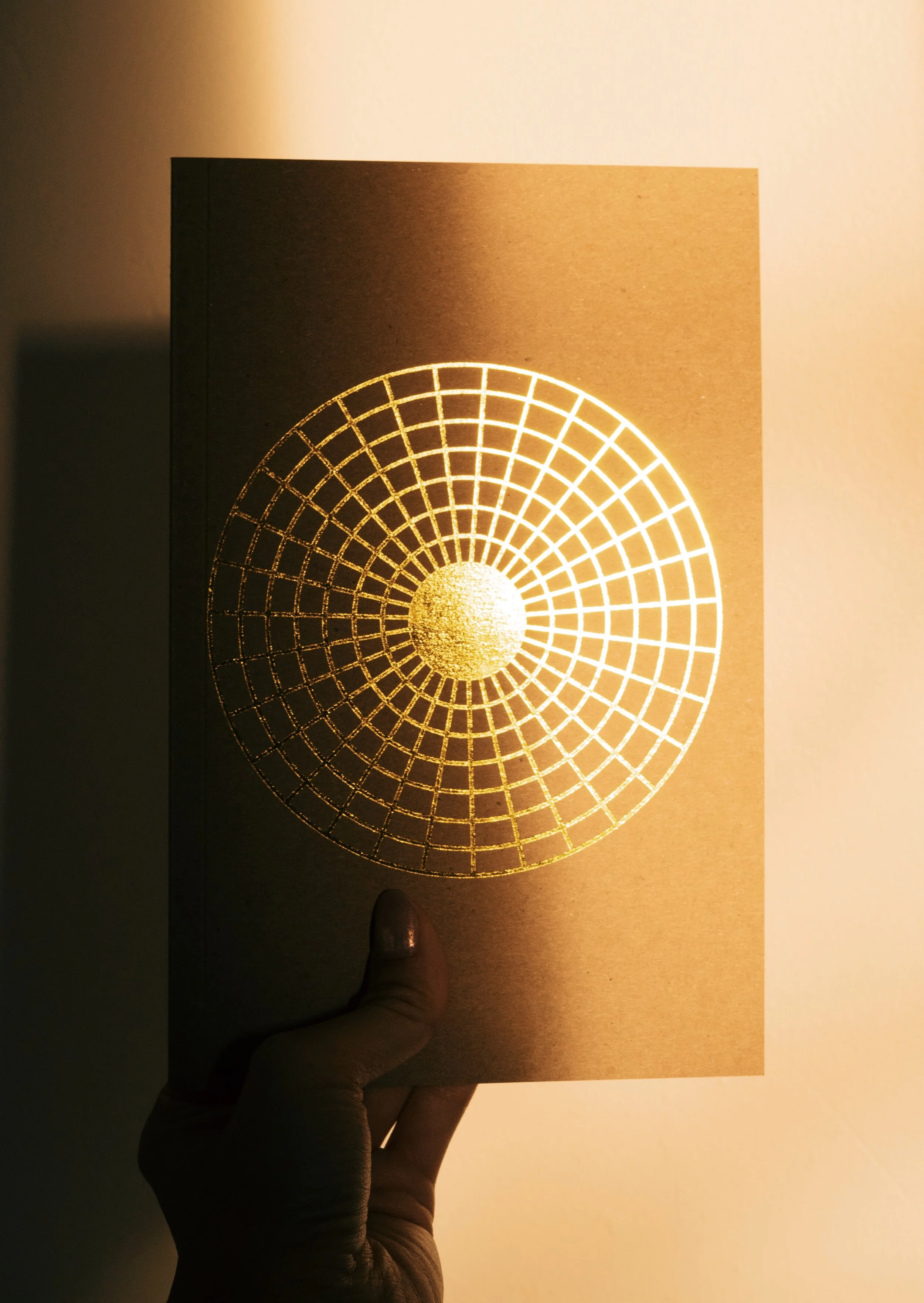 Hand holding a single journal in half sunlight and half shadow.