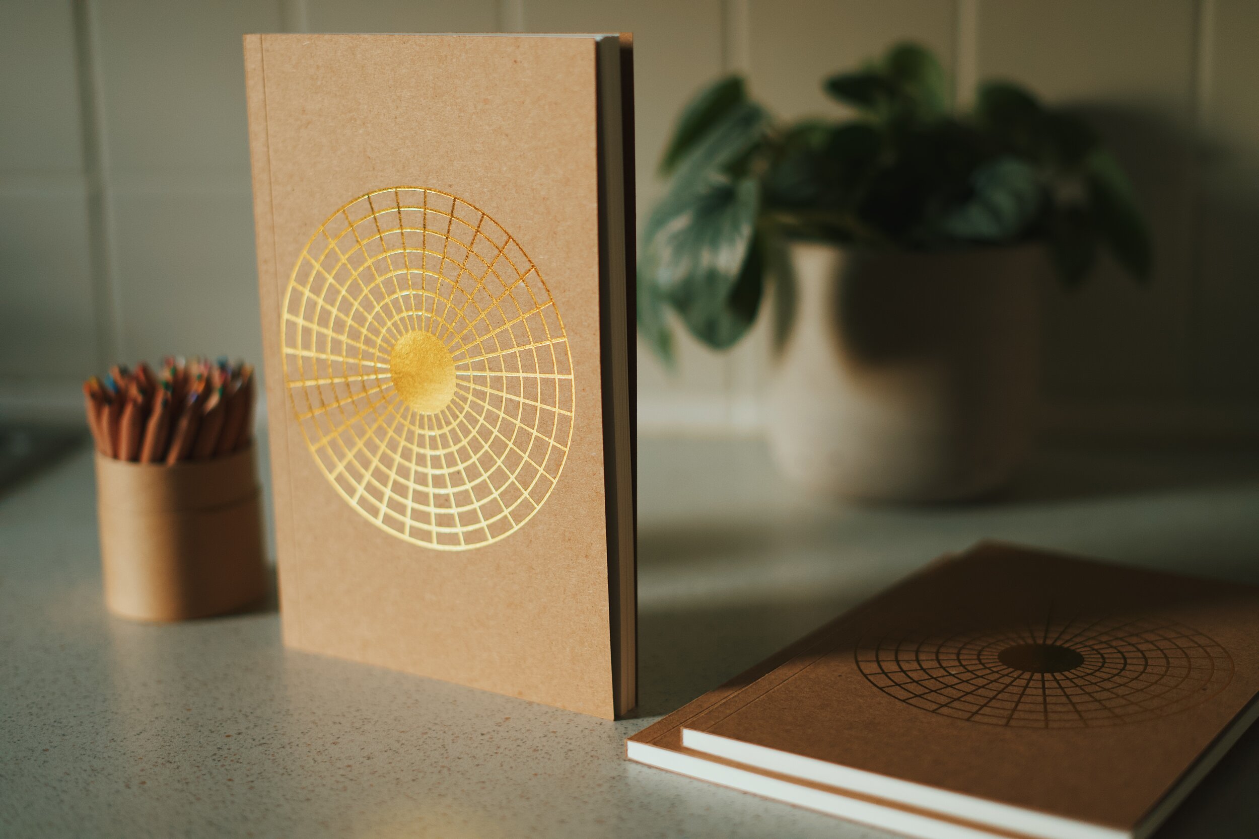 A photo of the Resilience Journal publication- three journals sit on a counter, one of them is standing up. The cover has a gold stamp in the shape of the circular data visualization framework. There are colored pencils to the left of the journal and leafy potted plant in the background.