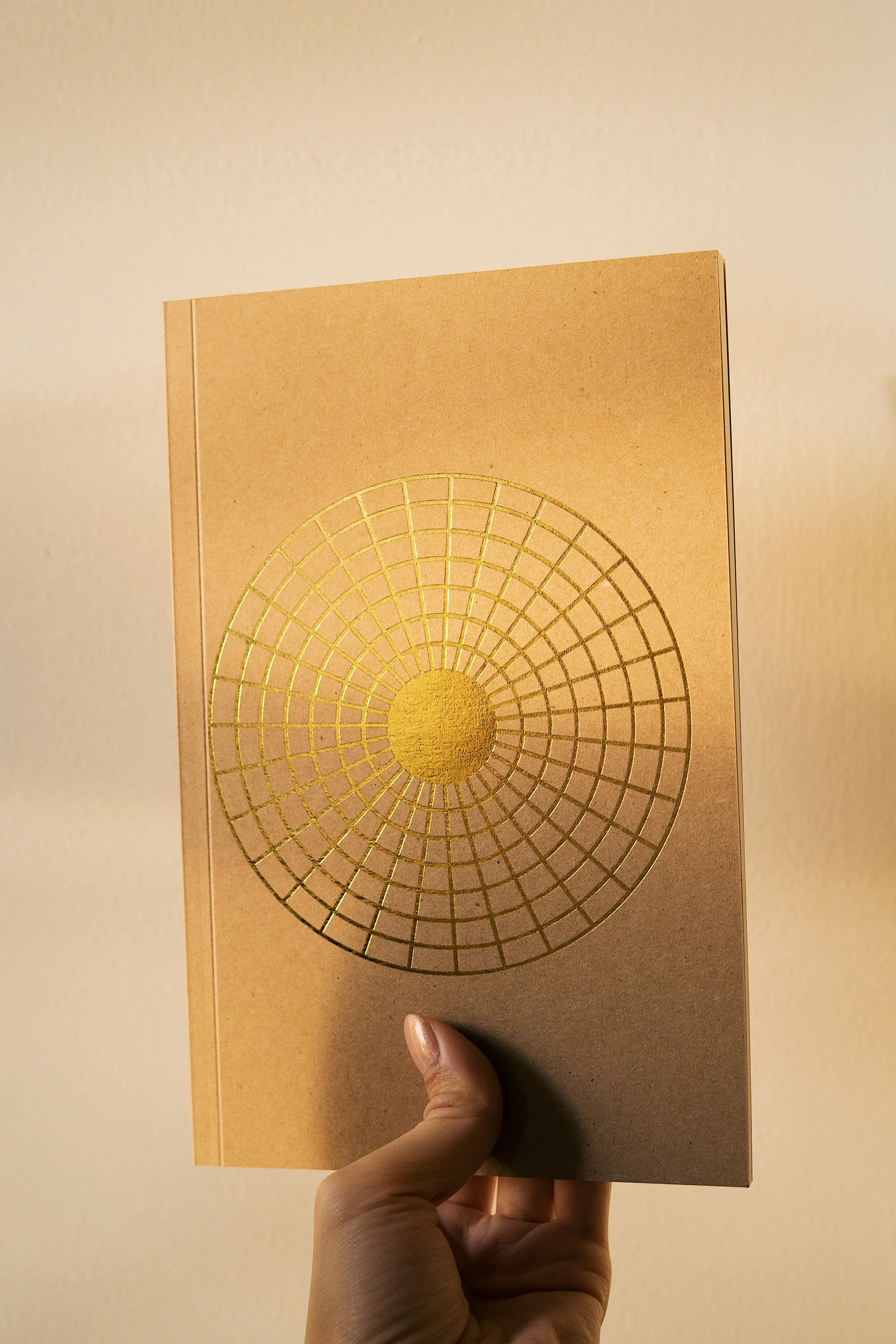 Hand holding journal in sunlight coming from a window.