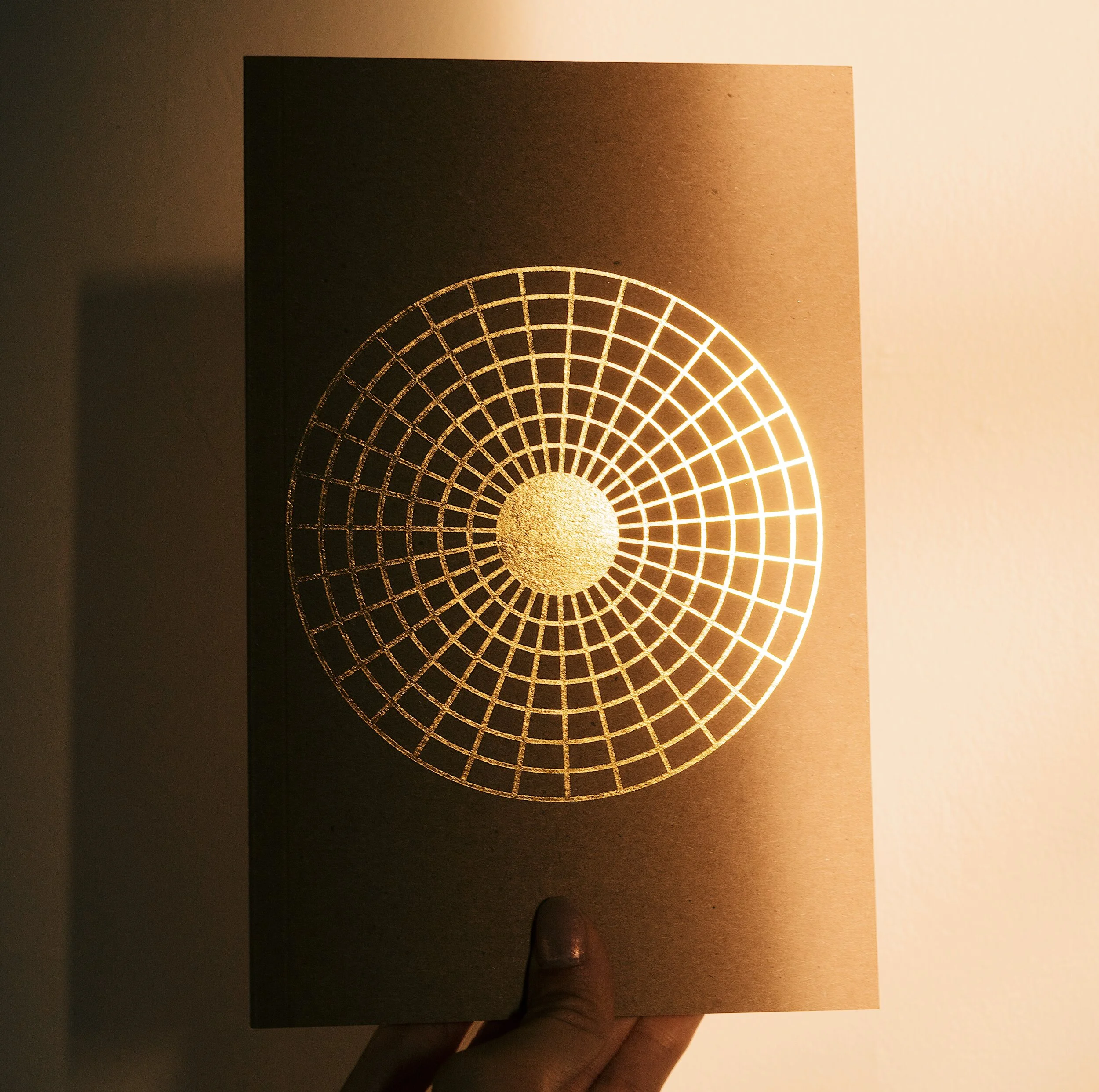 Hand holding a single journal in half sunlight and half shadow. The gold stamp on the cover glimmers.