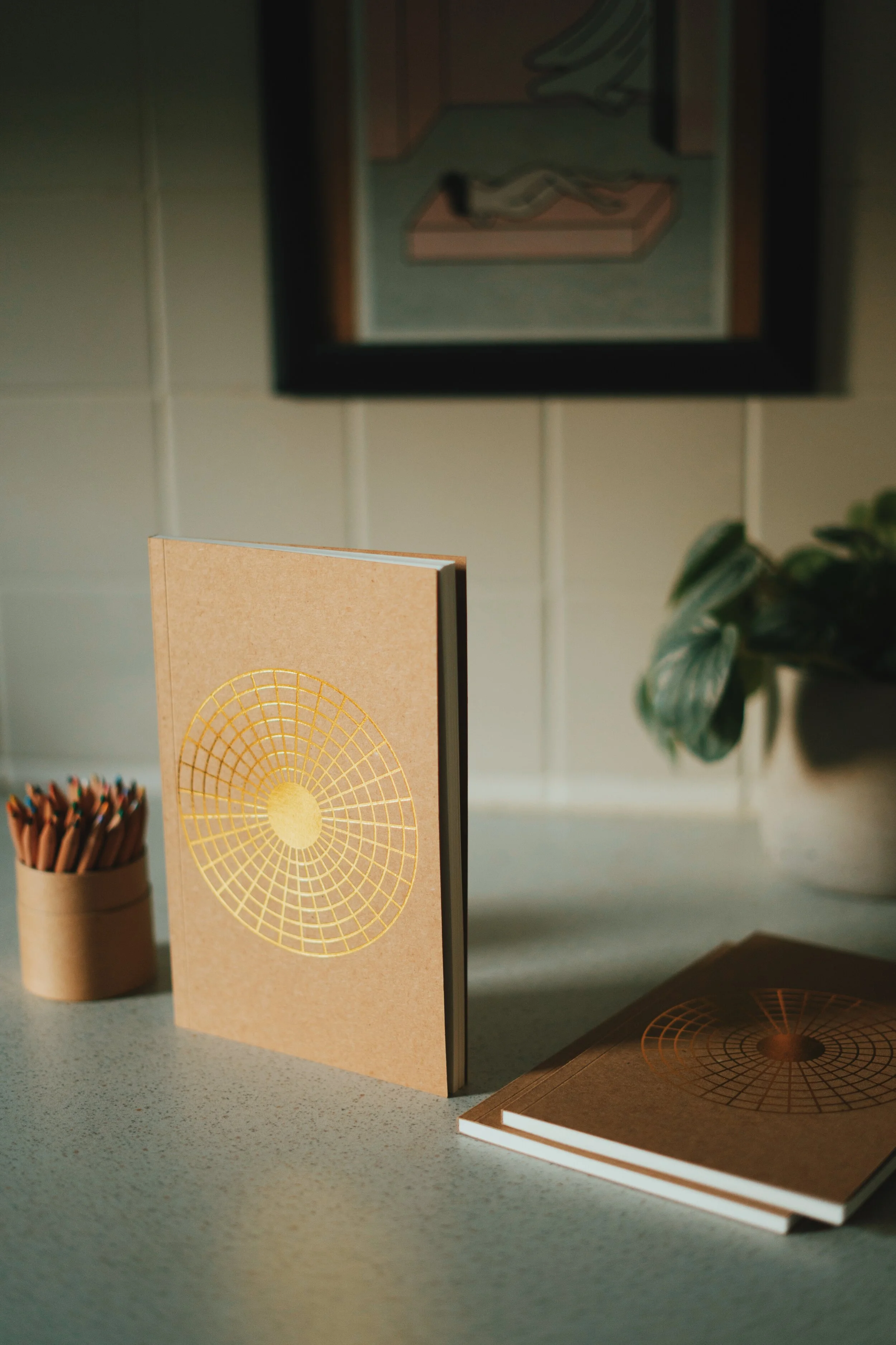 Buy a Resilience Journal