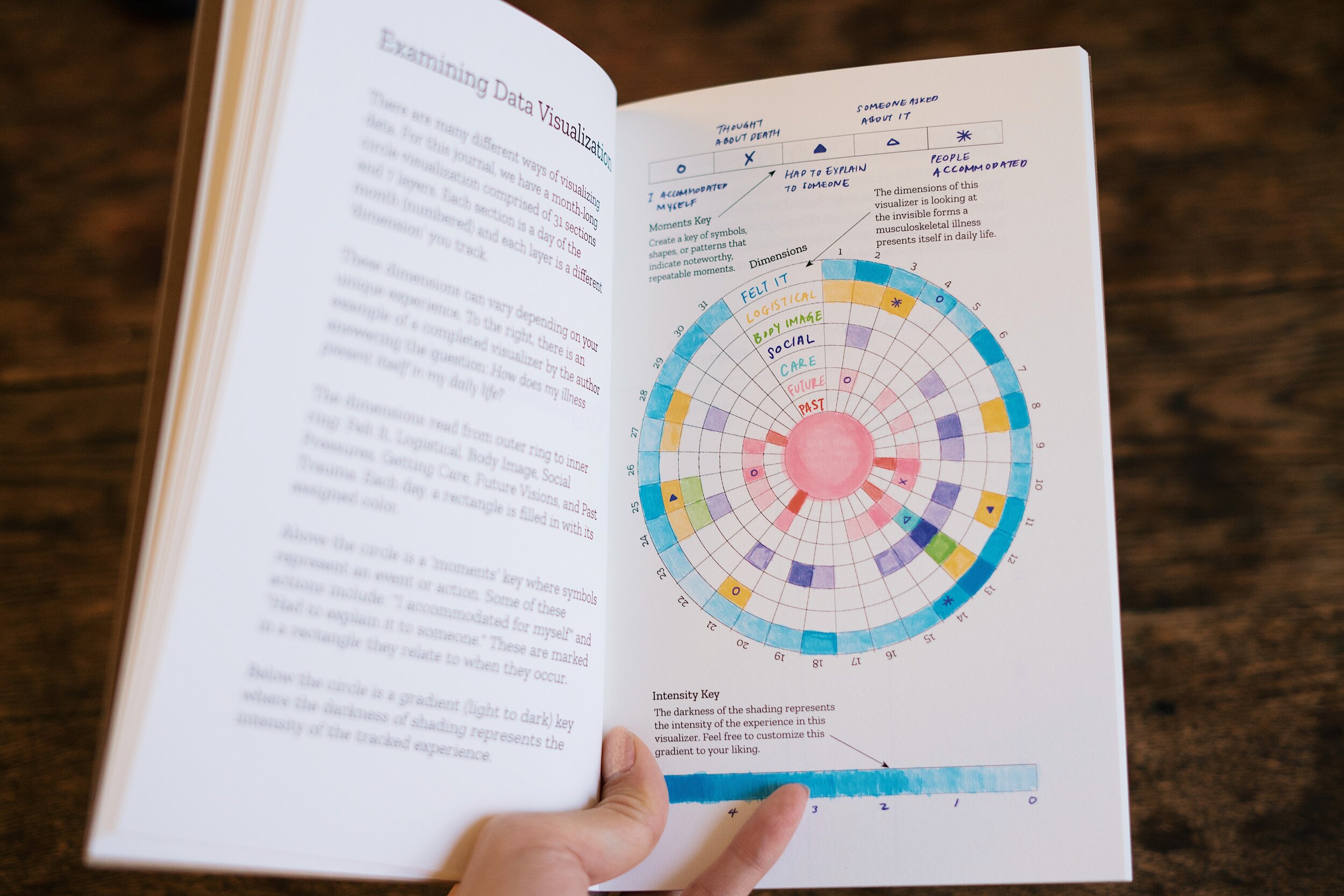  A hand holds open the Resilience Journal, on the left is text, on the right is a diagram of the circle filled in with various colors. 