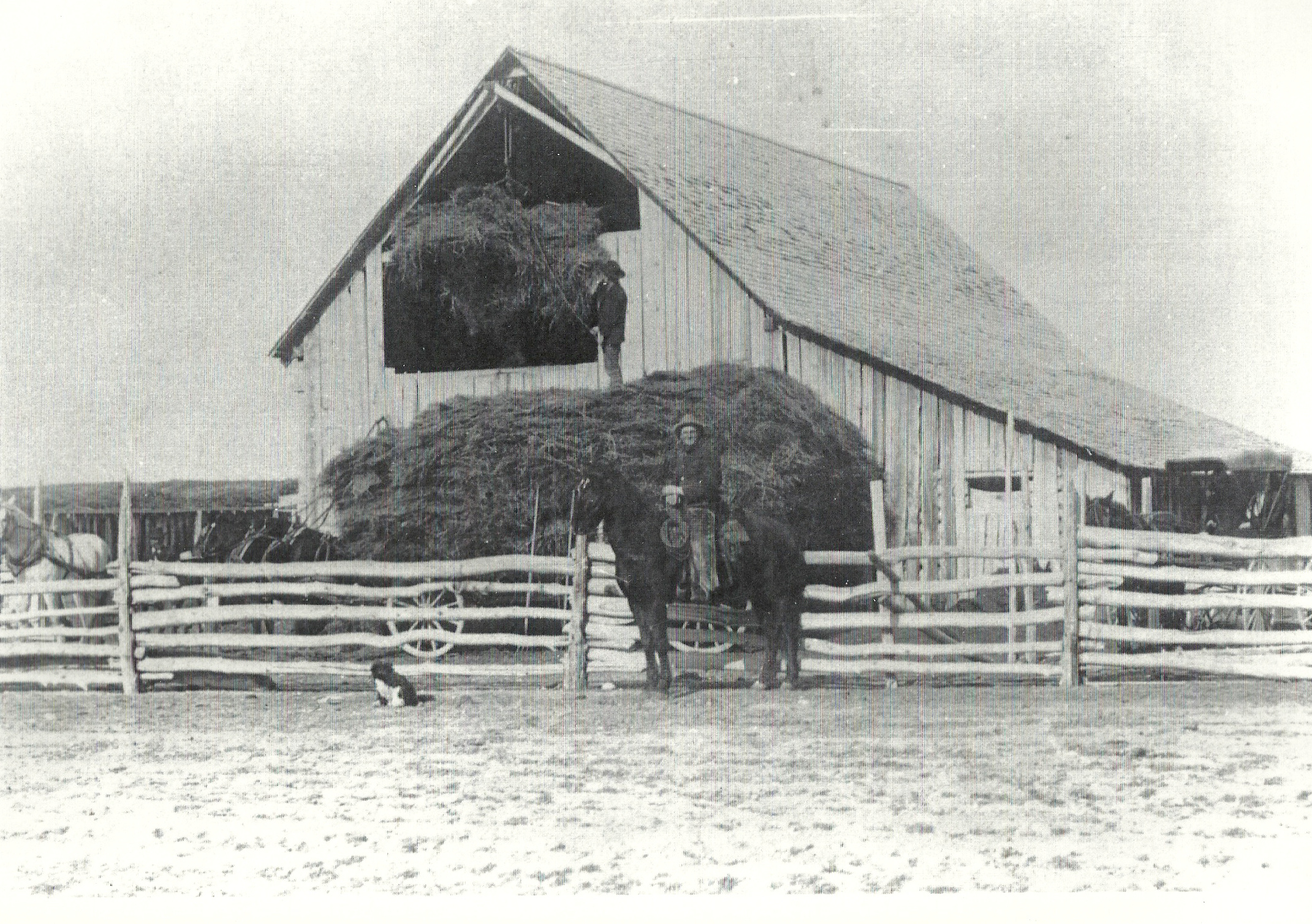 Hay Barn