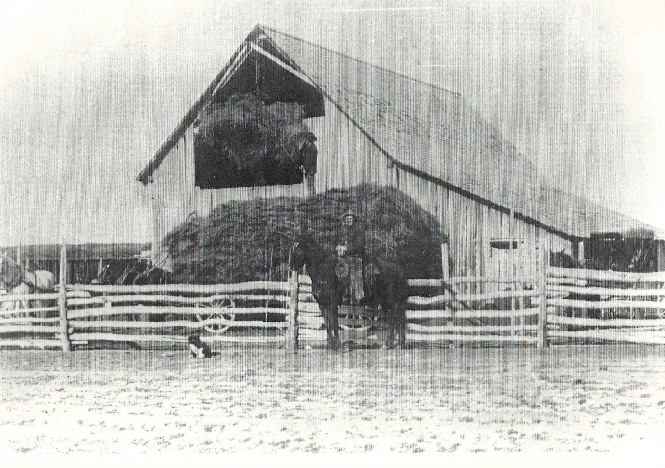 Barn.jpg