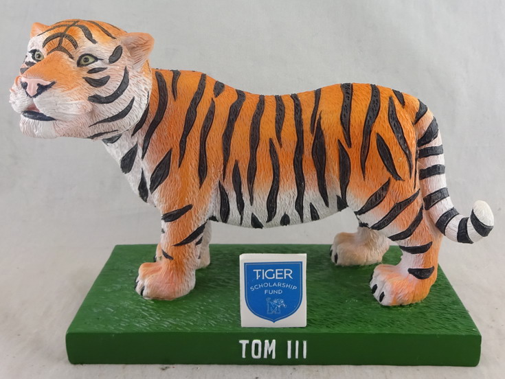 University of Memphis - Tom II Tiger 112447, 7in Bobblehead (1).jpg
