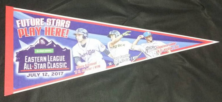 New Hampshire Fisher Cats - Pennant.jpg