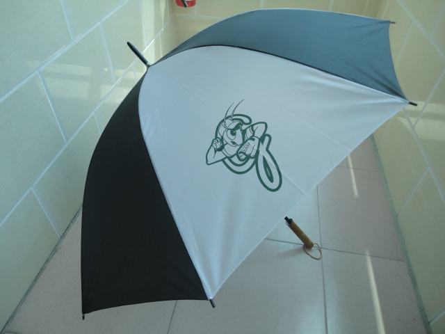 Greensboro Grasshoppers - Umbrella.JPG