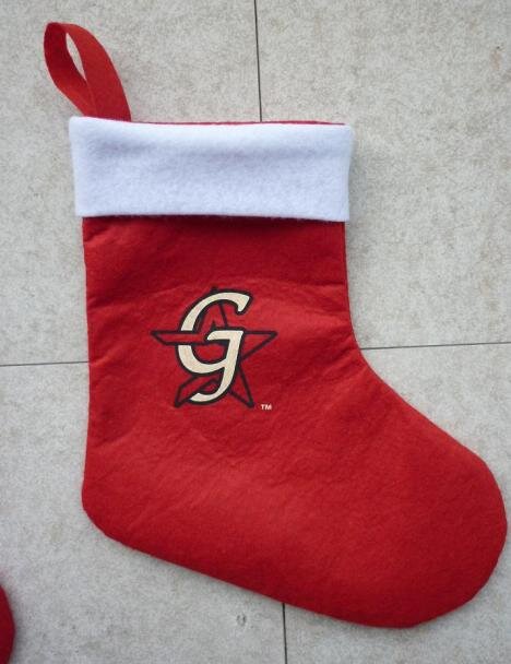 Greeneville Astros - Stocking.JPG