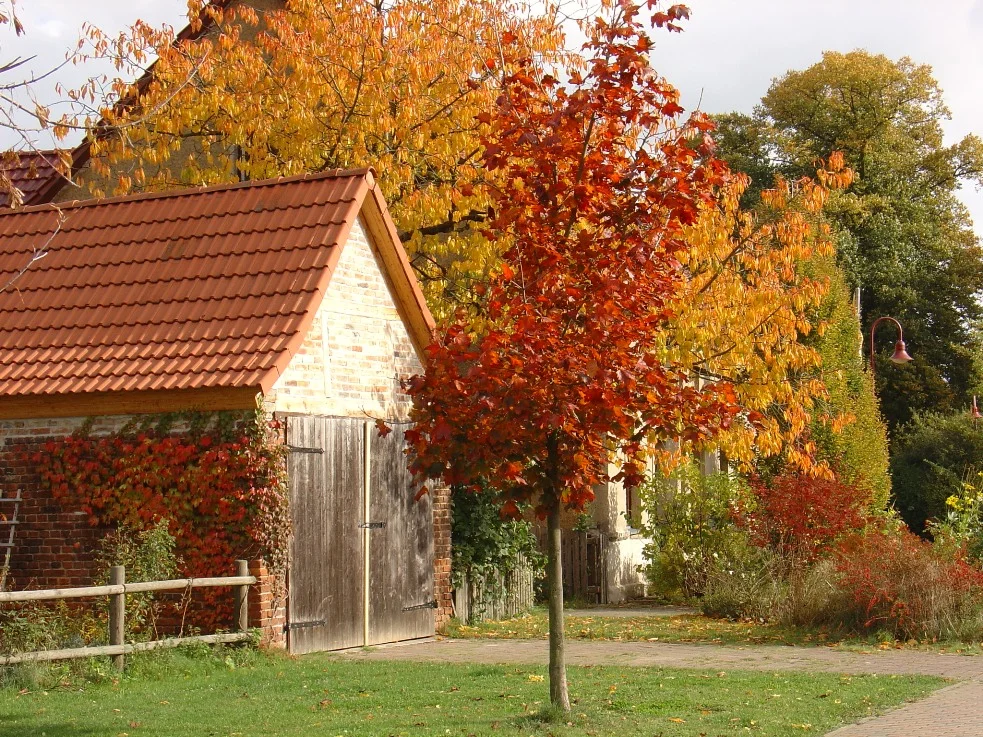 Herbst
