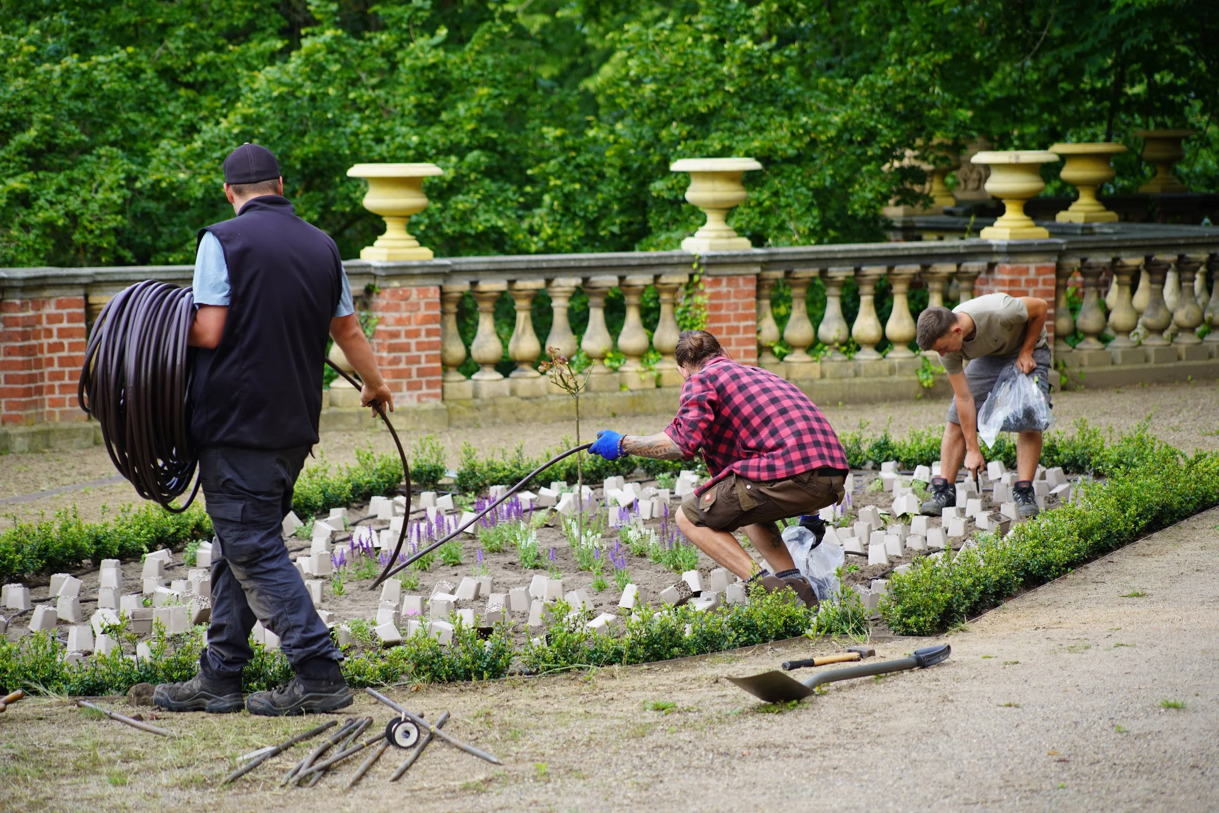  Installation der Tropfschlauchbewässerung  