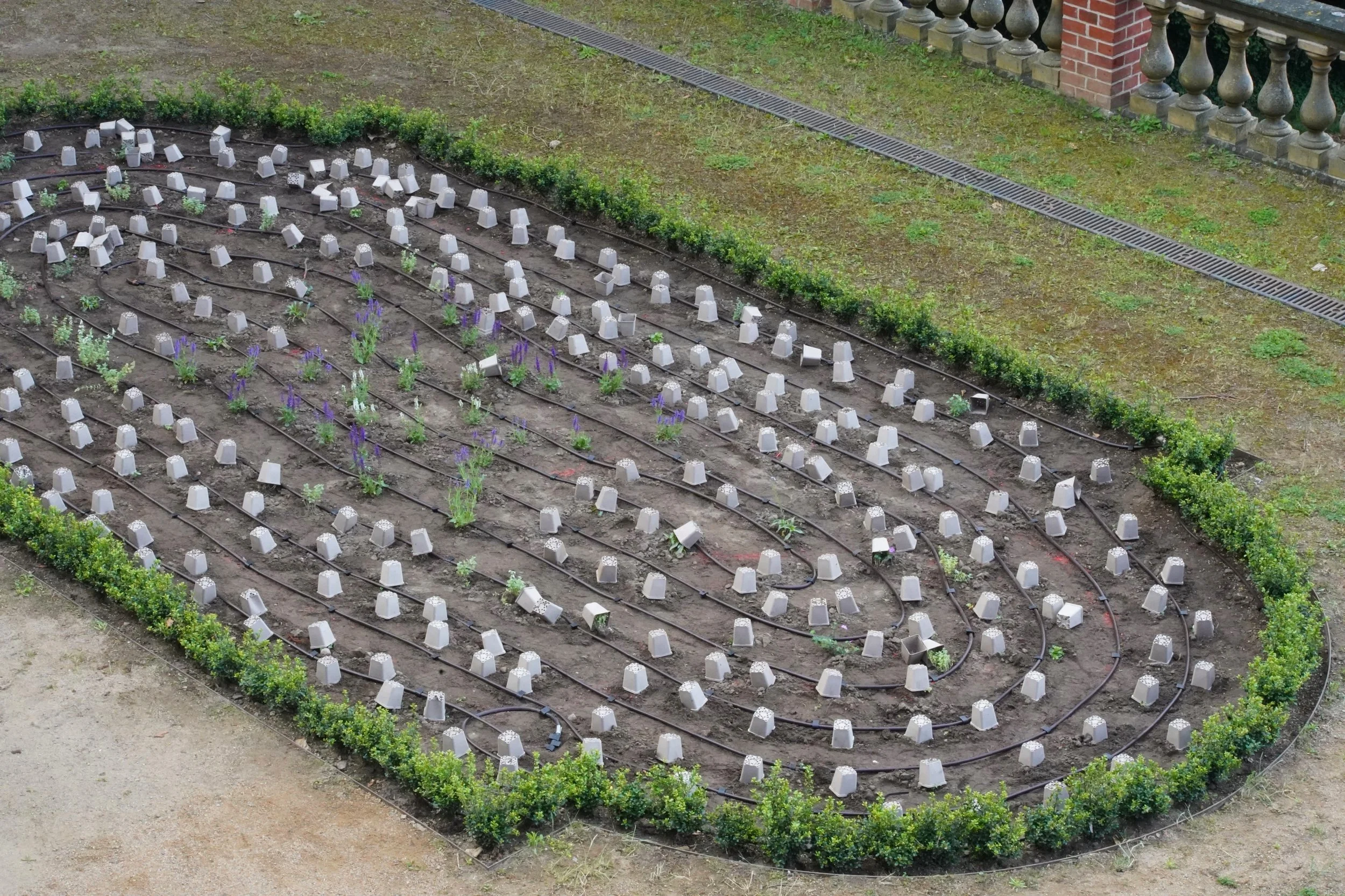  Terassenbeet mit Tropfschlauchbewässerung 