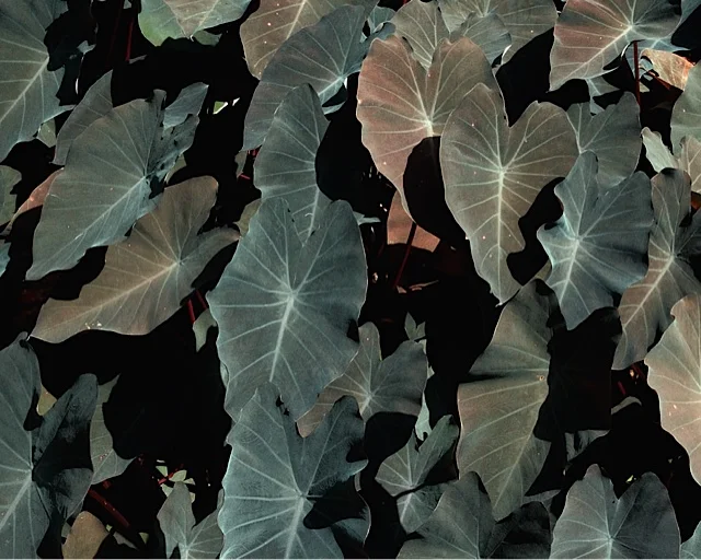 71377_JOB 6_IMG_3556_150x120.jpeg