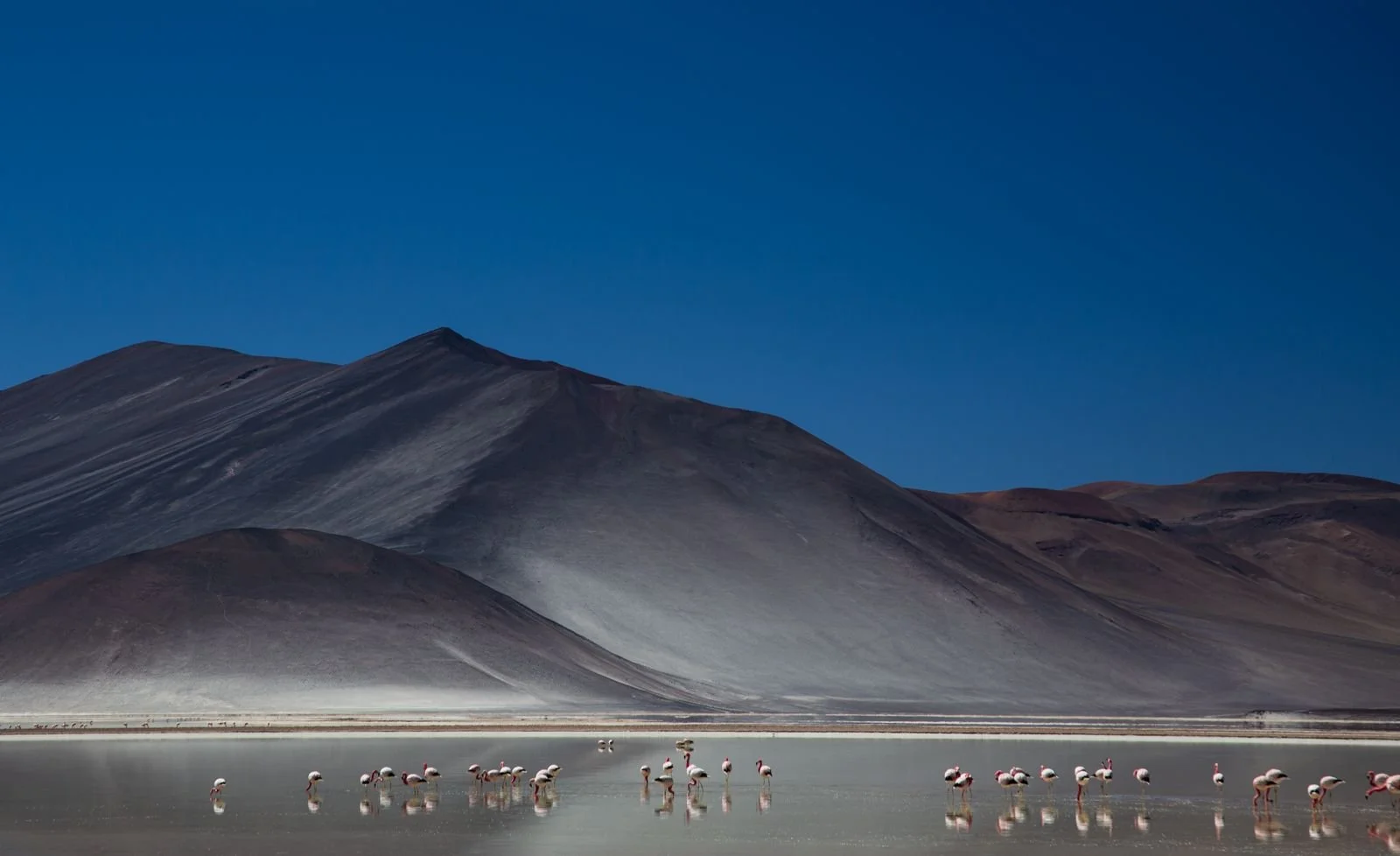 WhatsApp Image 2025-07-18 at 11.47.47.jpeg