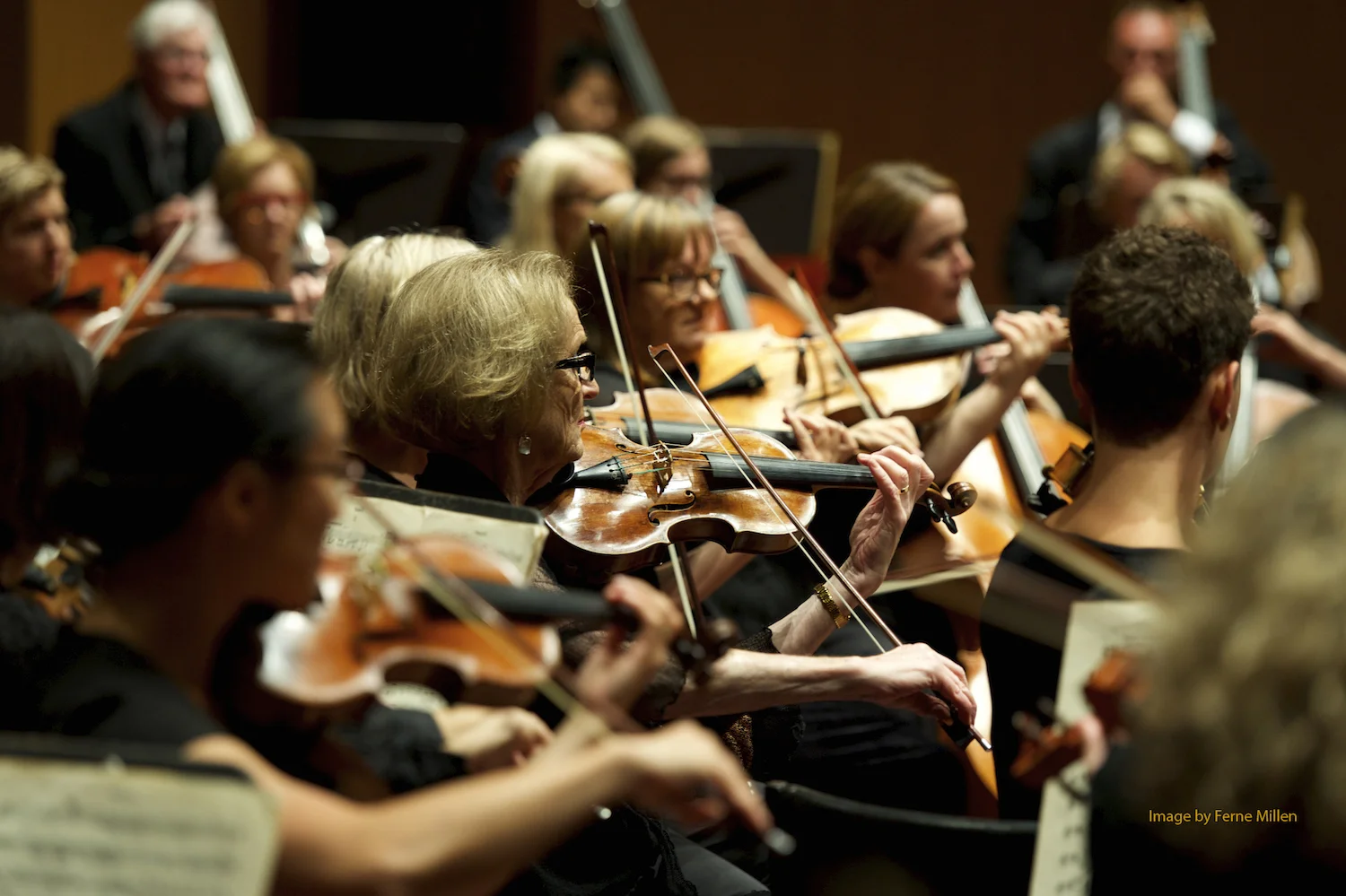 Pachelbel meets Vivaldi<h4>Members of the Geelong Symphony Orchestra</h4>